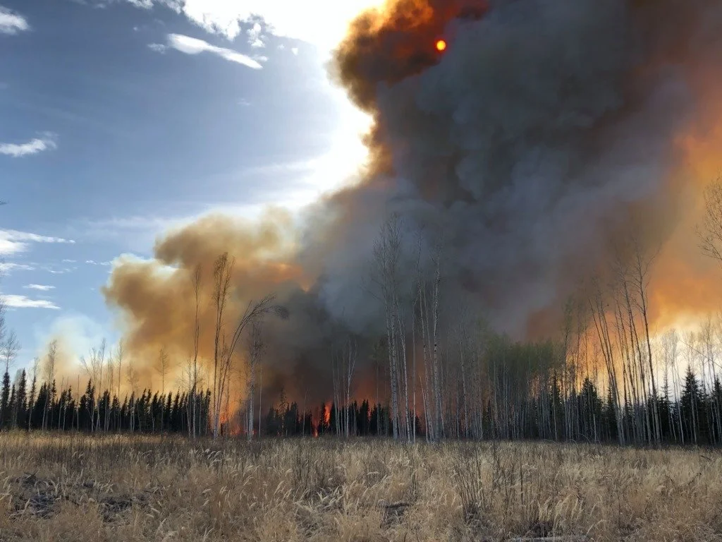 Fire and Ecosystems Research Lab