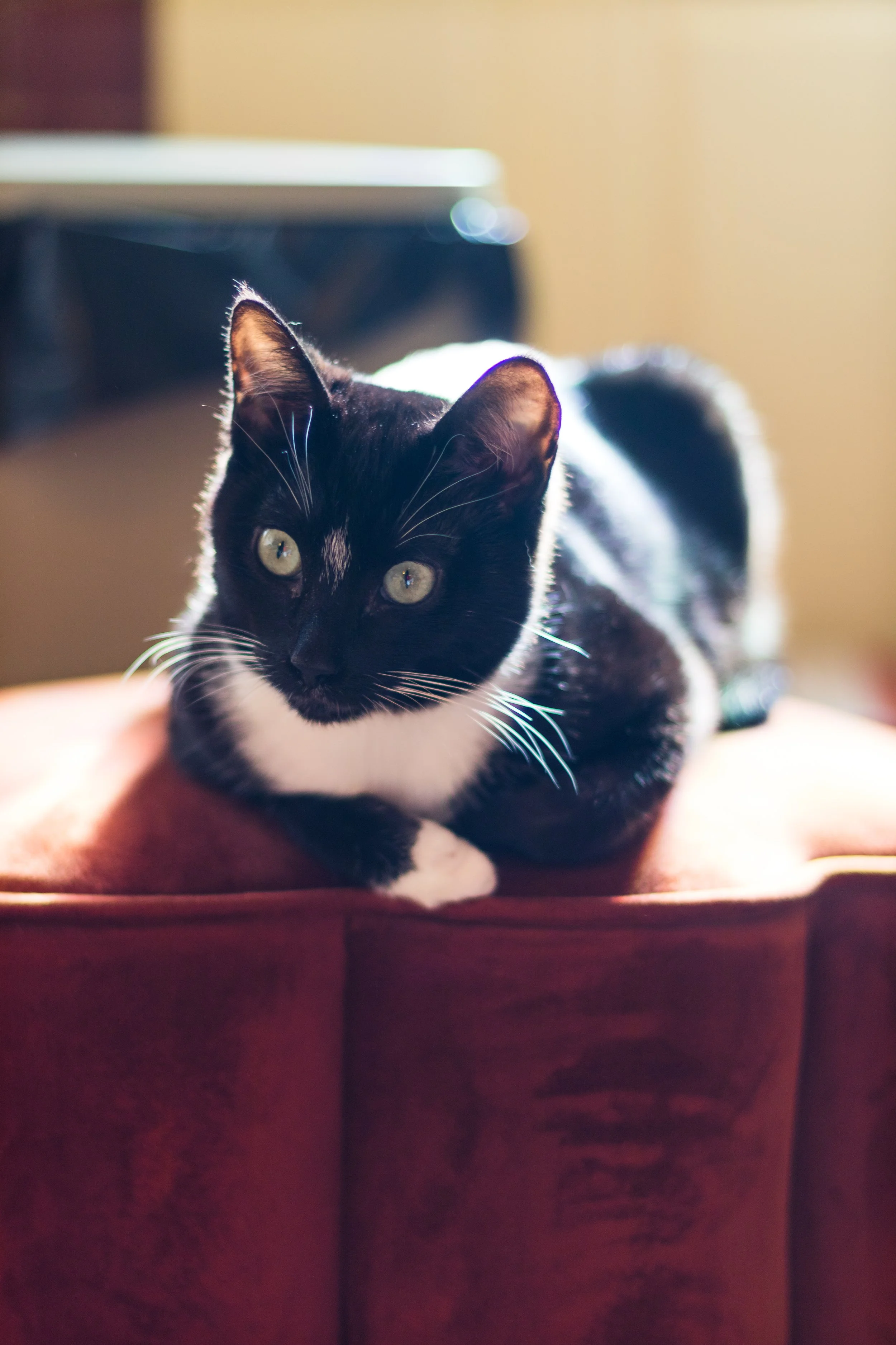 Photo by Hyung-Suk Kim