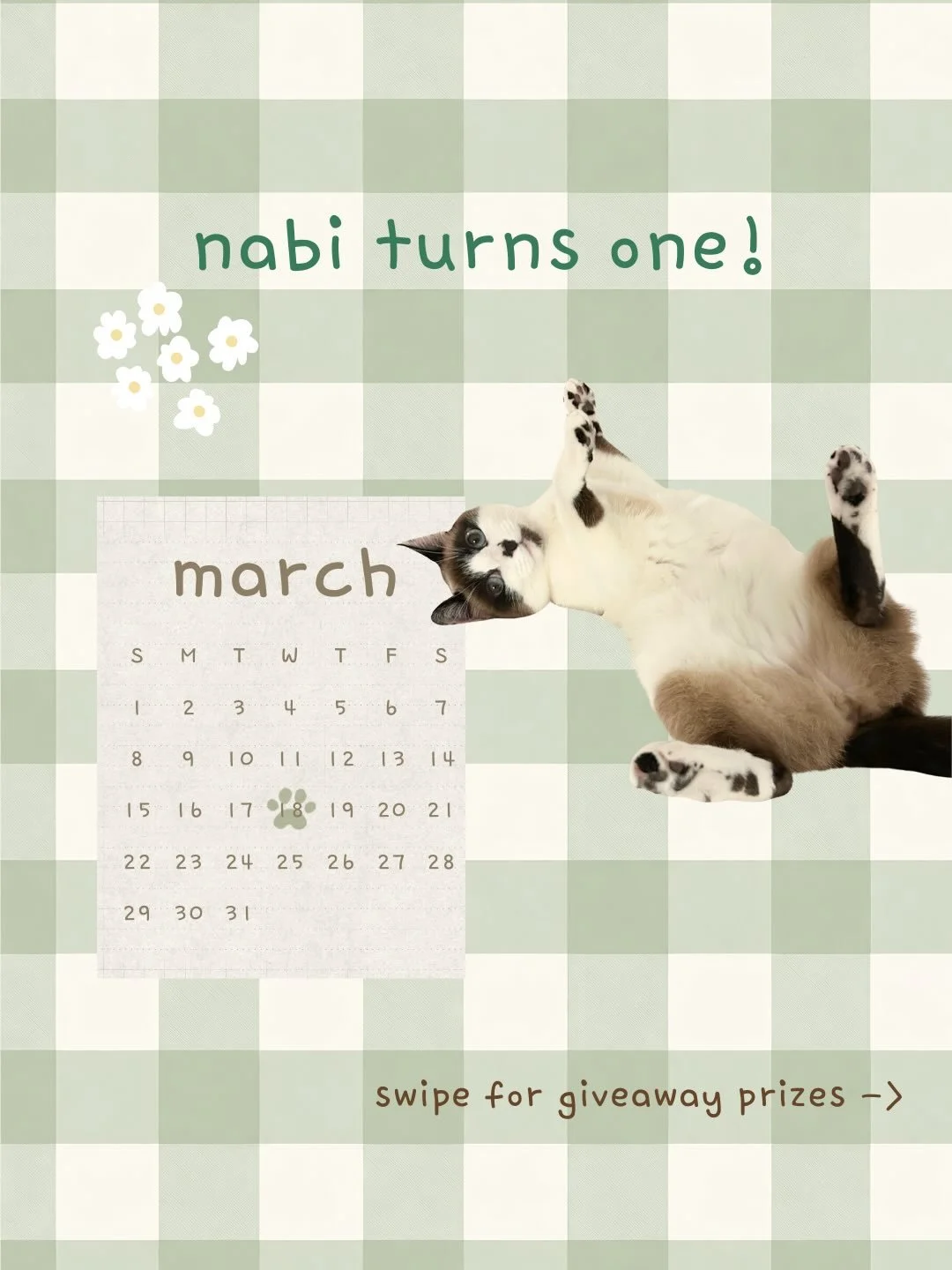 Nabi Cat Cafe officially turns 1 🎂💛

Time truly flies, and we feel so blessed!

To celebrate, we are hosting a merch giveaway:
* Cat trinket dishes (food-safe) made by @yukiko.ceramics
* Cat tea cup (food-safe) made by @sunfiredclay
* Cat-bubu pins