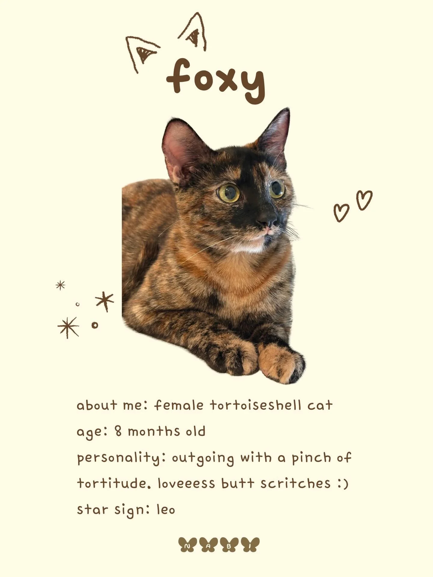 Meet Foxy &amp; Fancy 🦊👒

These two cuties are available for adoption through @scritchkittens! Come meet them at Nabi soon. Reservations available on our website at nabicatcafe.com/rsvp 💛

#catcafe #adoptdontshop #rescuecats #bayarea