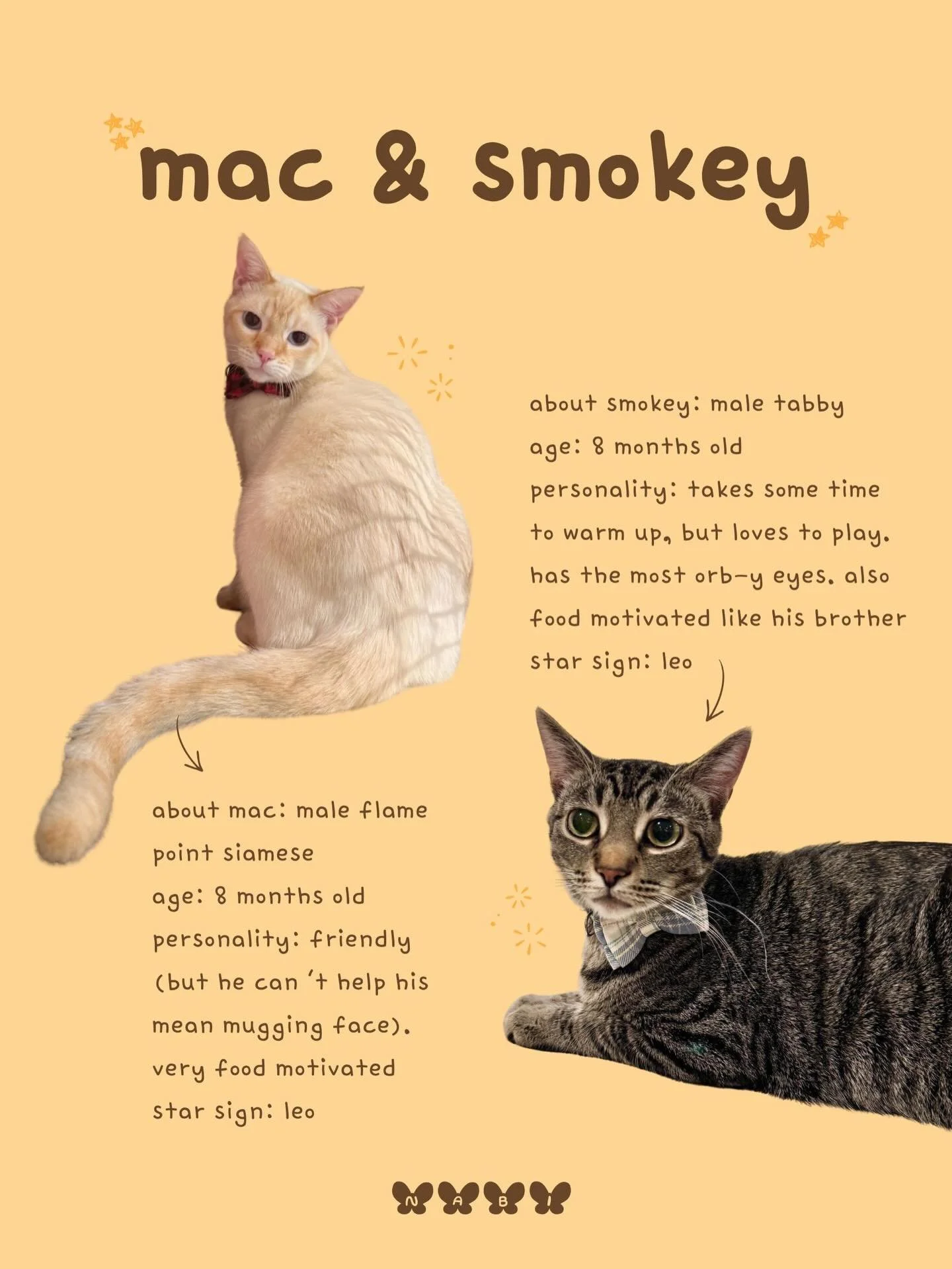 Meet Mac &amp; Smokey!

This adorable pair is available for adoption through @kittenrescue101 ! You can meet them at our cat cafe - reservations available on our website at nabicatcafe.com/rsvp 😸💛

#catcafe #adoptdontshop #rescuecats #bayarea