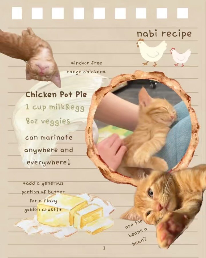 Sharing our secret pie recipes! 🥧 Follow instructions meticulously for the best results. Visit us at our kneading lounge for samples 🍋🥜🍗! More recipes coming soon 💛

#knead #kitten #pie #adopt #catcafe