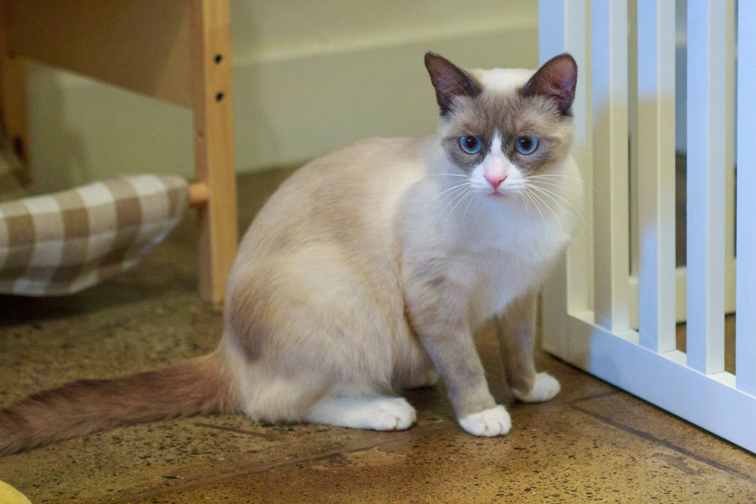 Photo by Hyung-Suk Kim