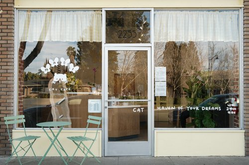 Nabi Cat Cafe, business photo 6