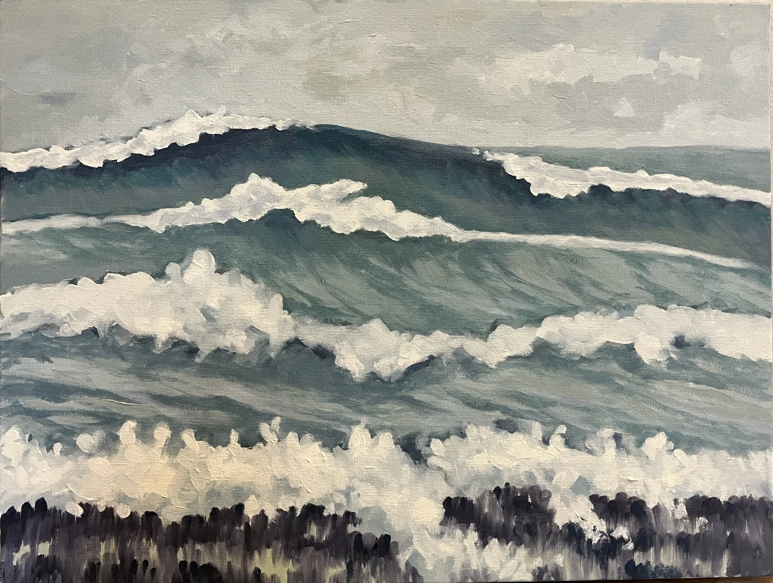 Storm Waves on a Tropical Shore