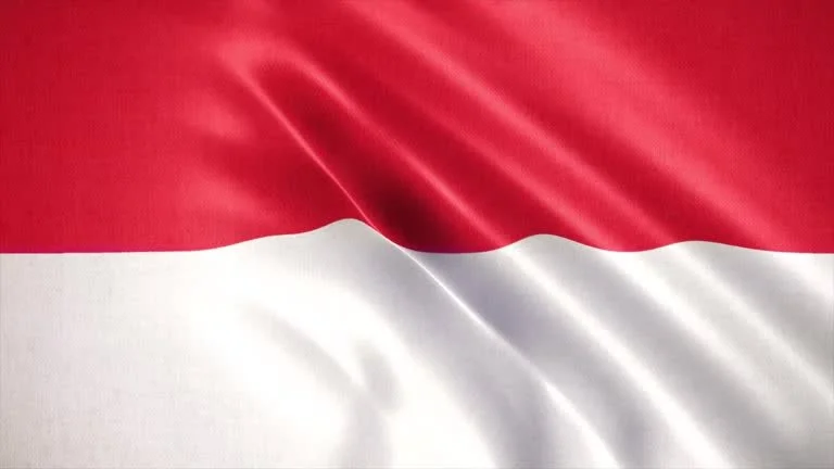 Газовая отрасль Индонезии