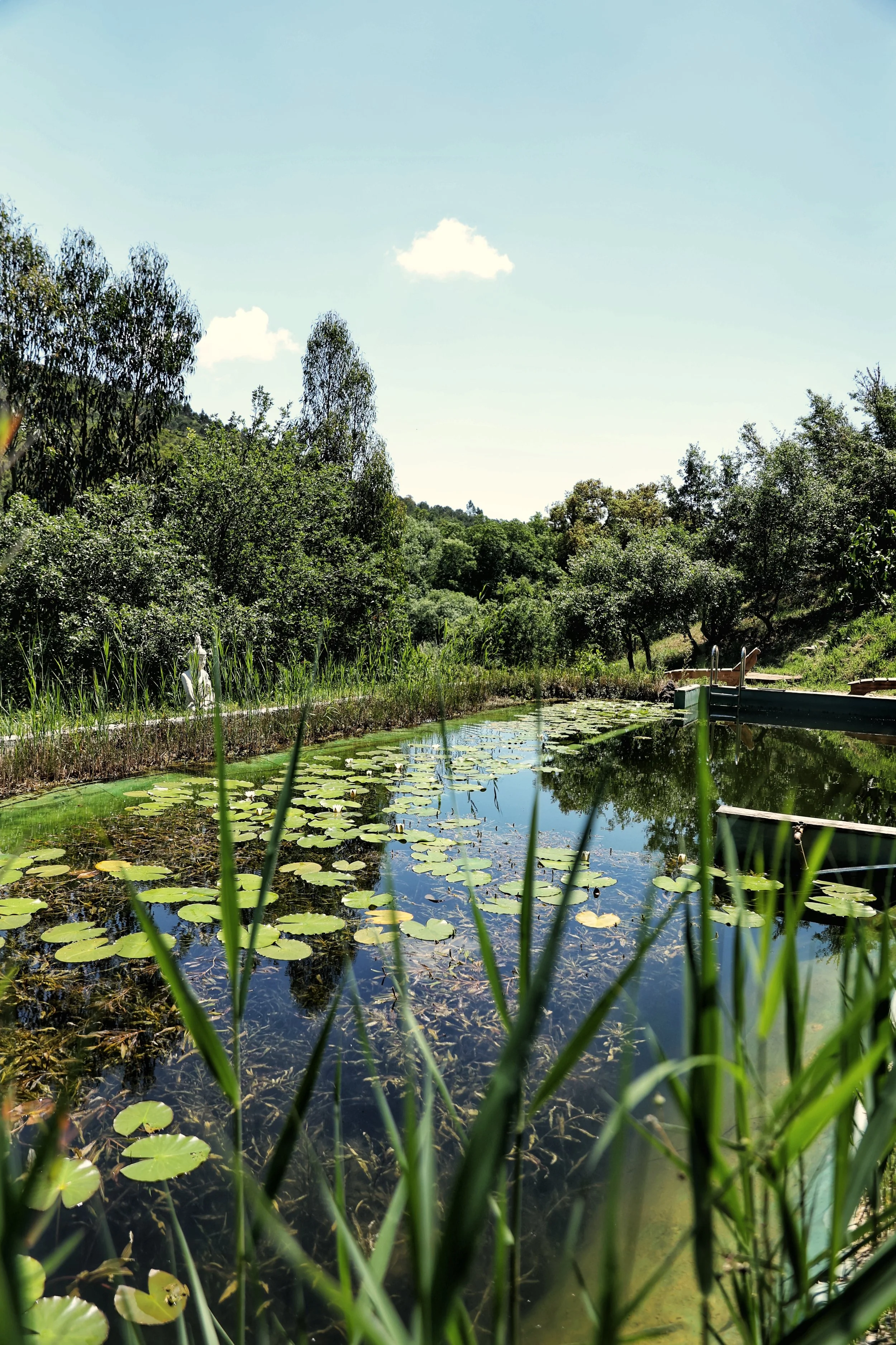 31 Orada Wellness.jpg