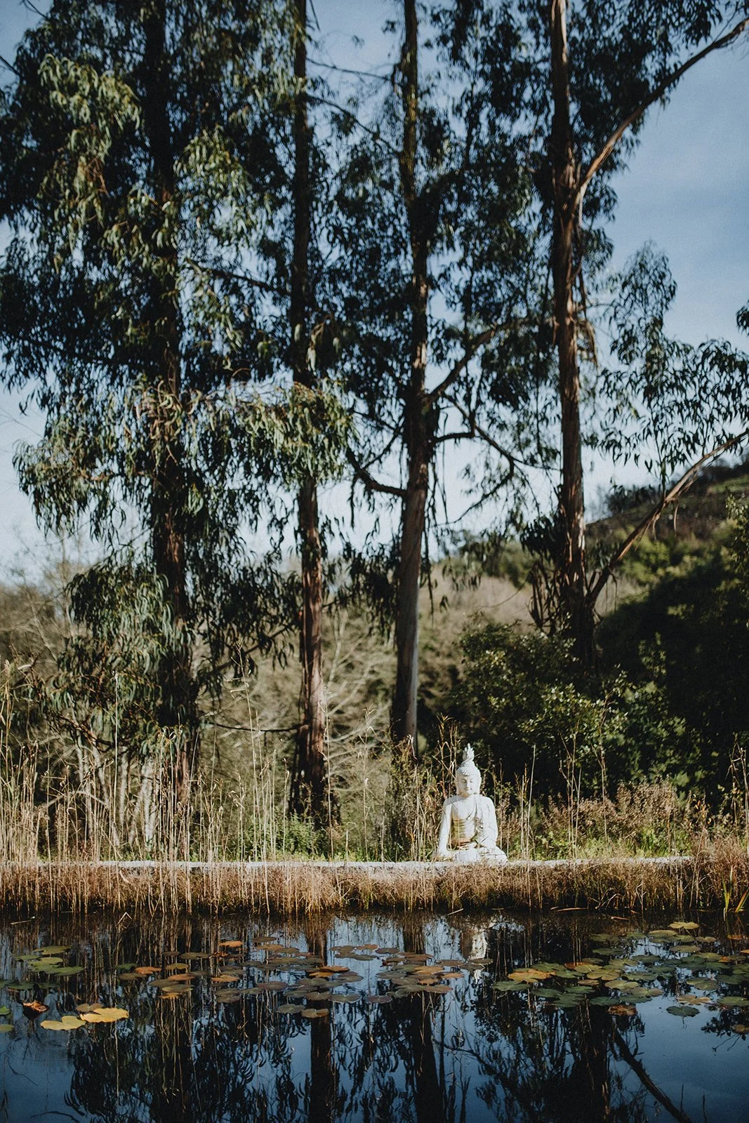 60 Orada Wellness.jpg