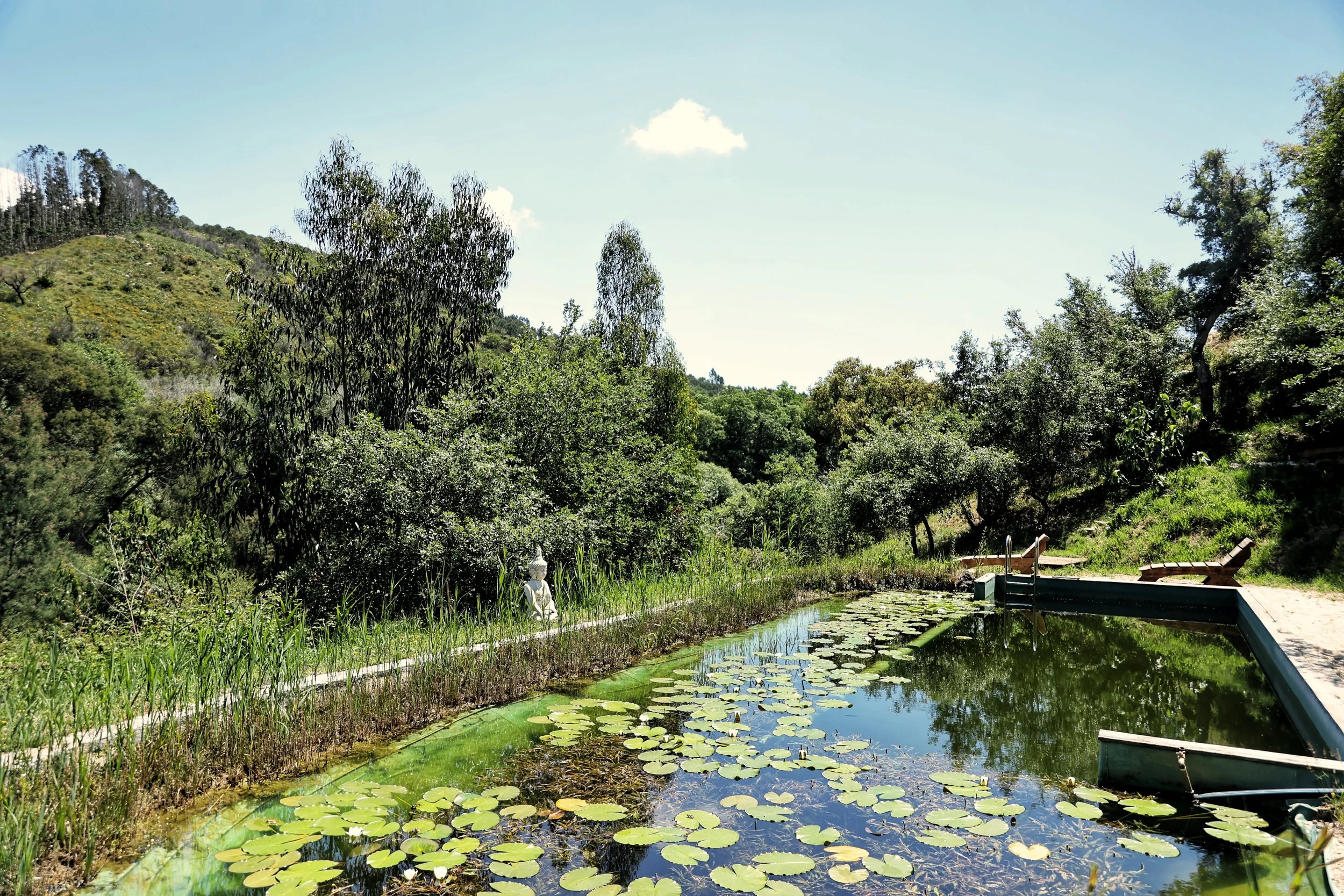 32 Orada Wellness.jpg