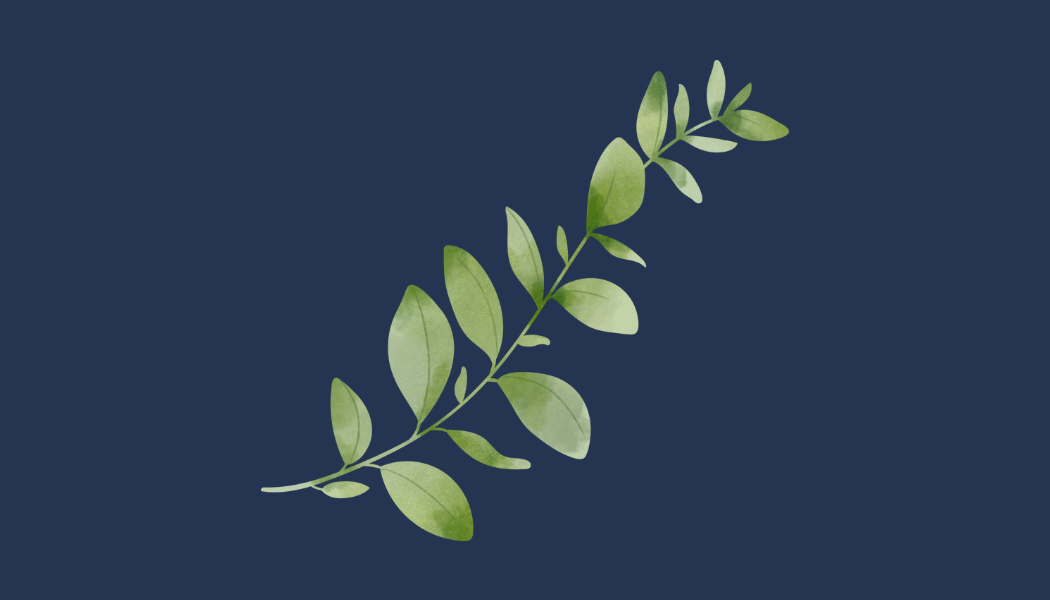 3.png