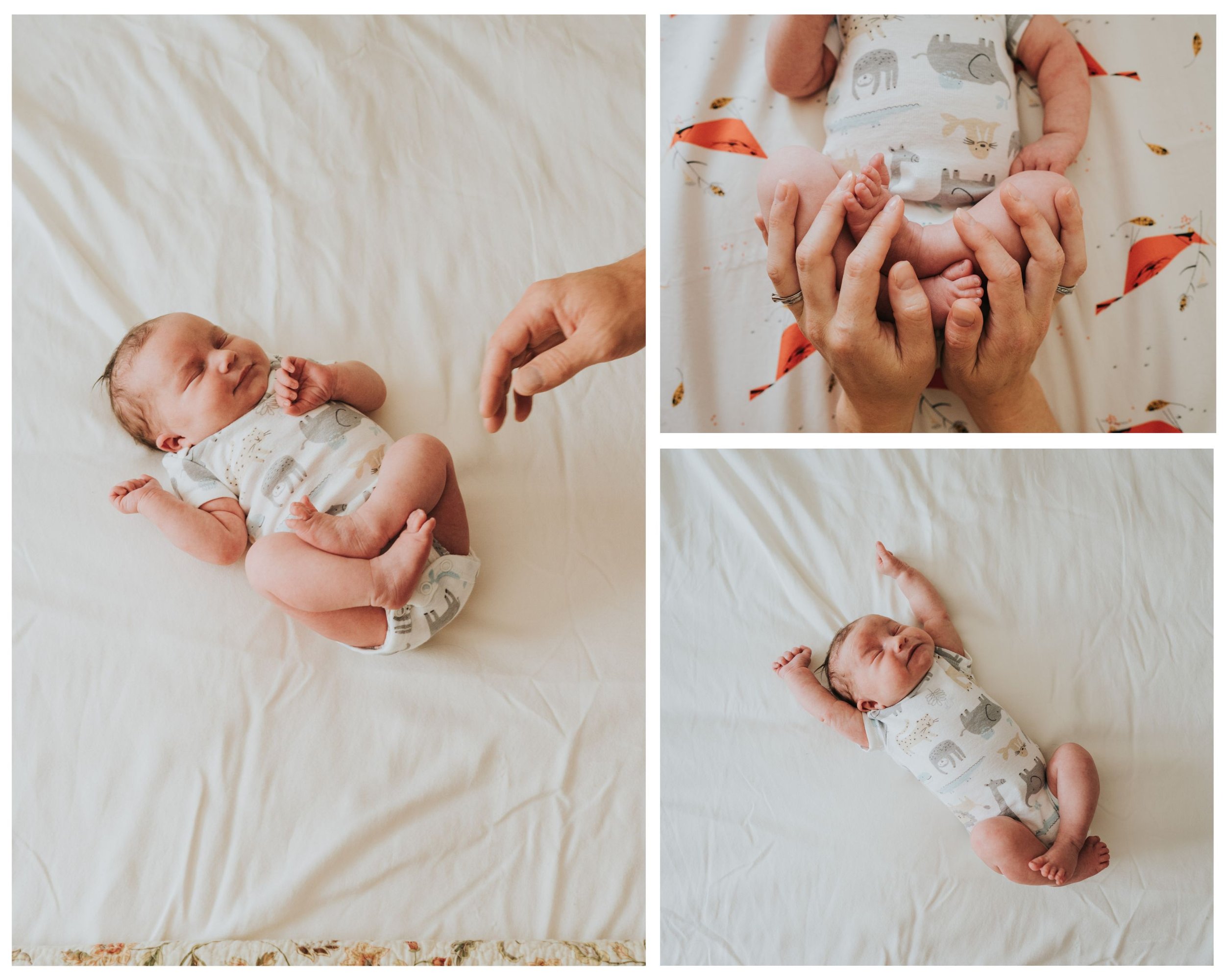 when-to-schedule-newborn-photos-5.jpg
