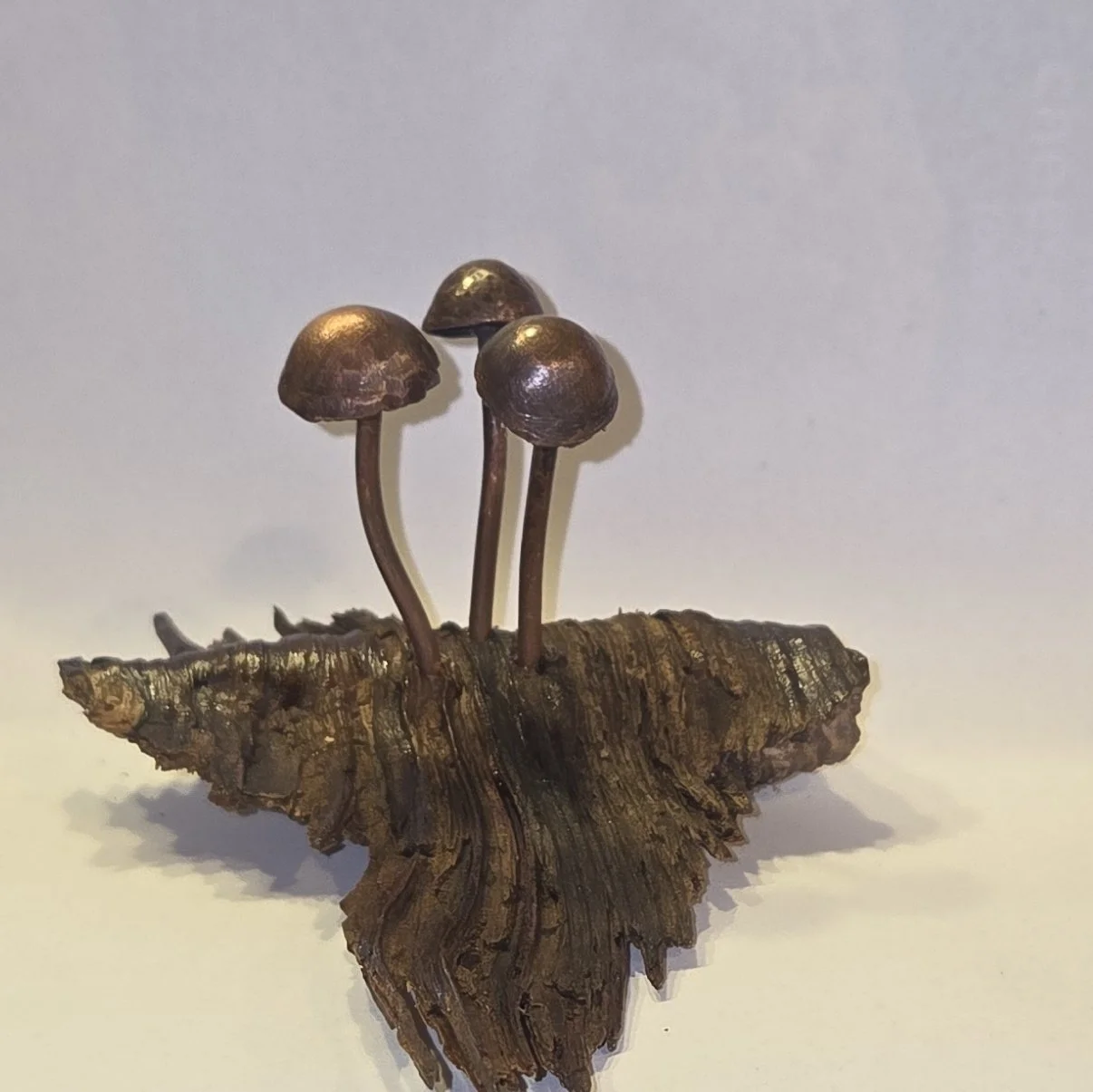 Copper Mushrooms, 2025