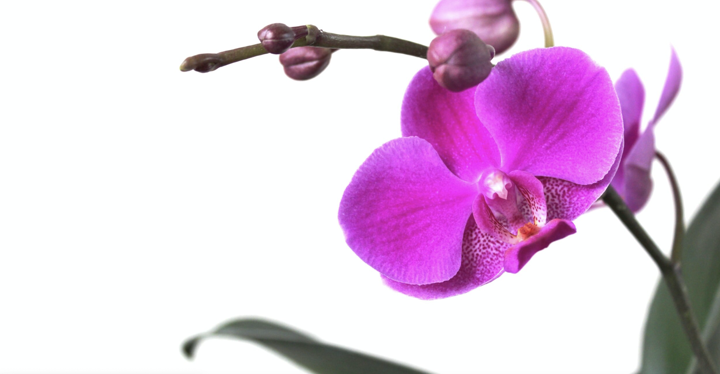 The Invisible Impact of Investing in YOU