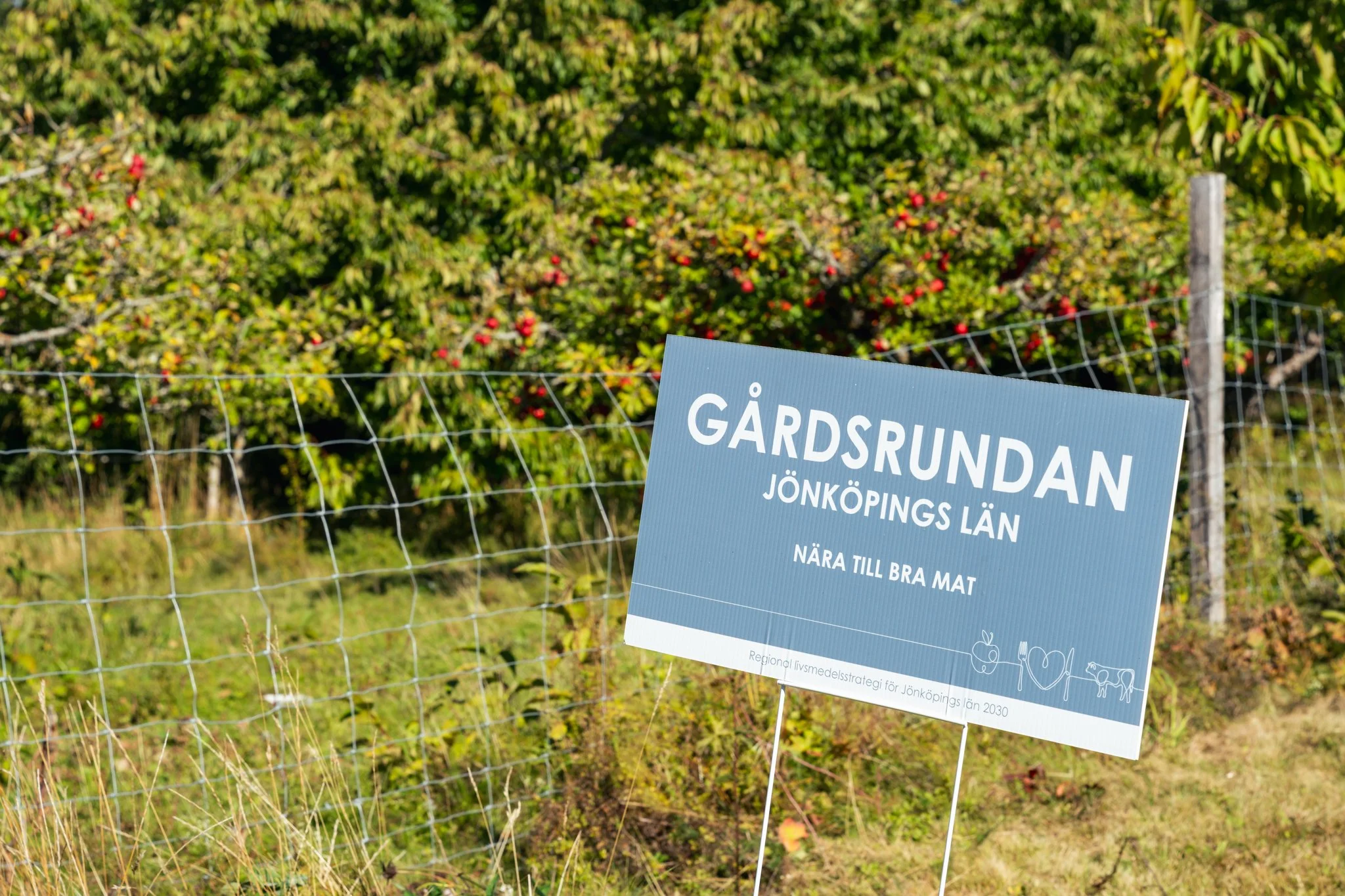 Gårdsrundan