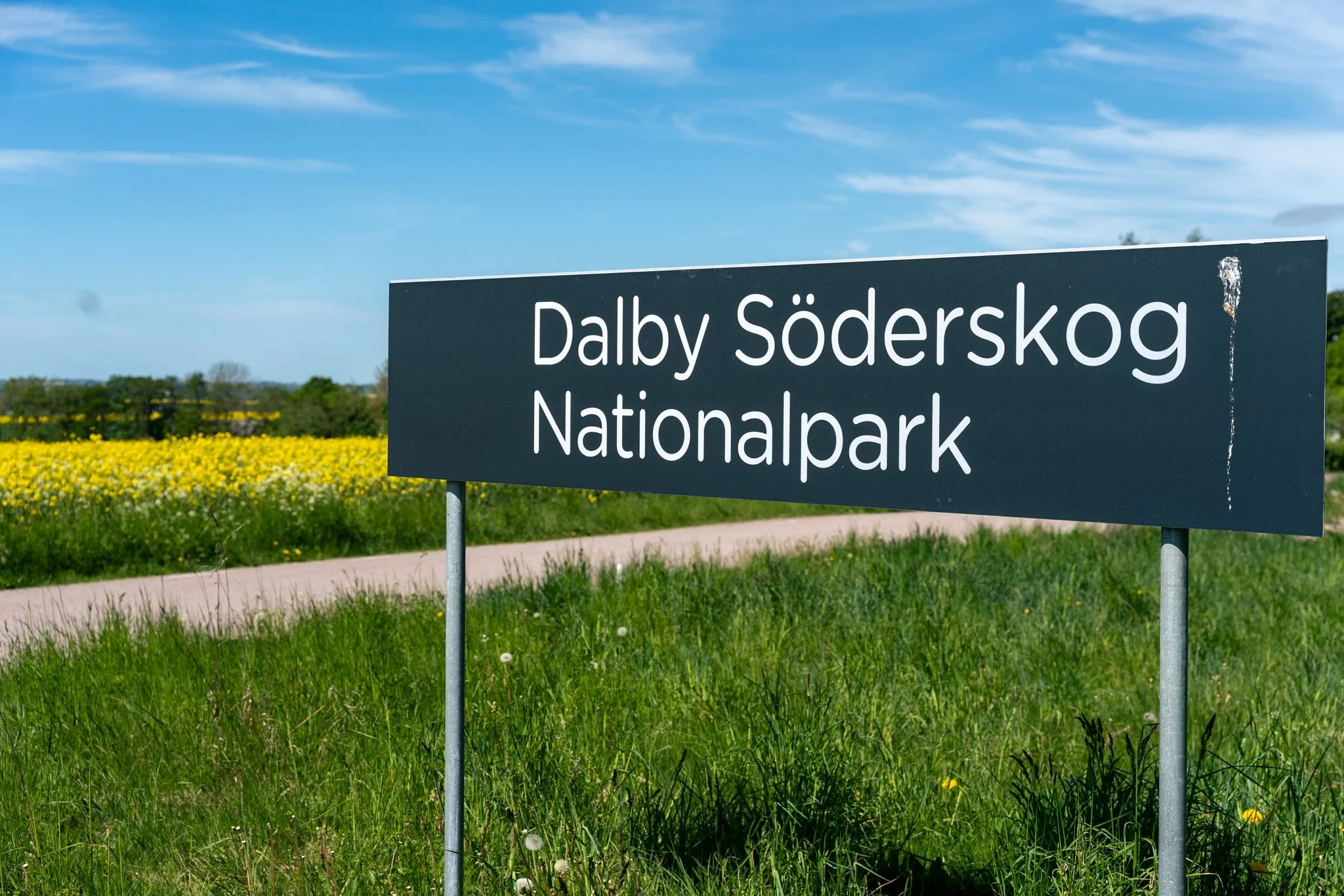 Dalby Söderskog nationalpark