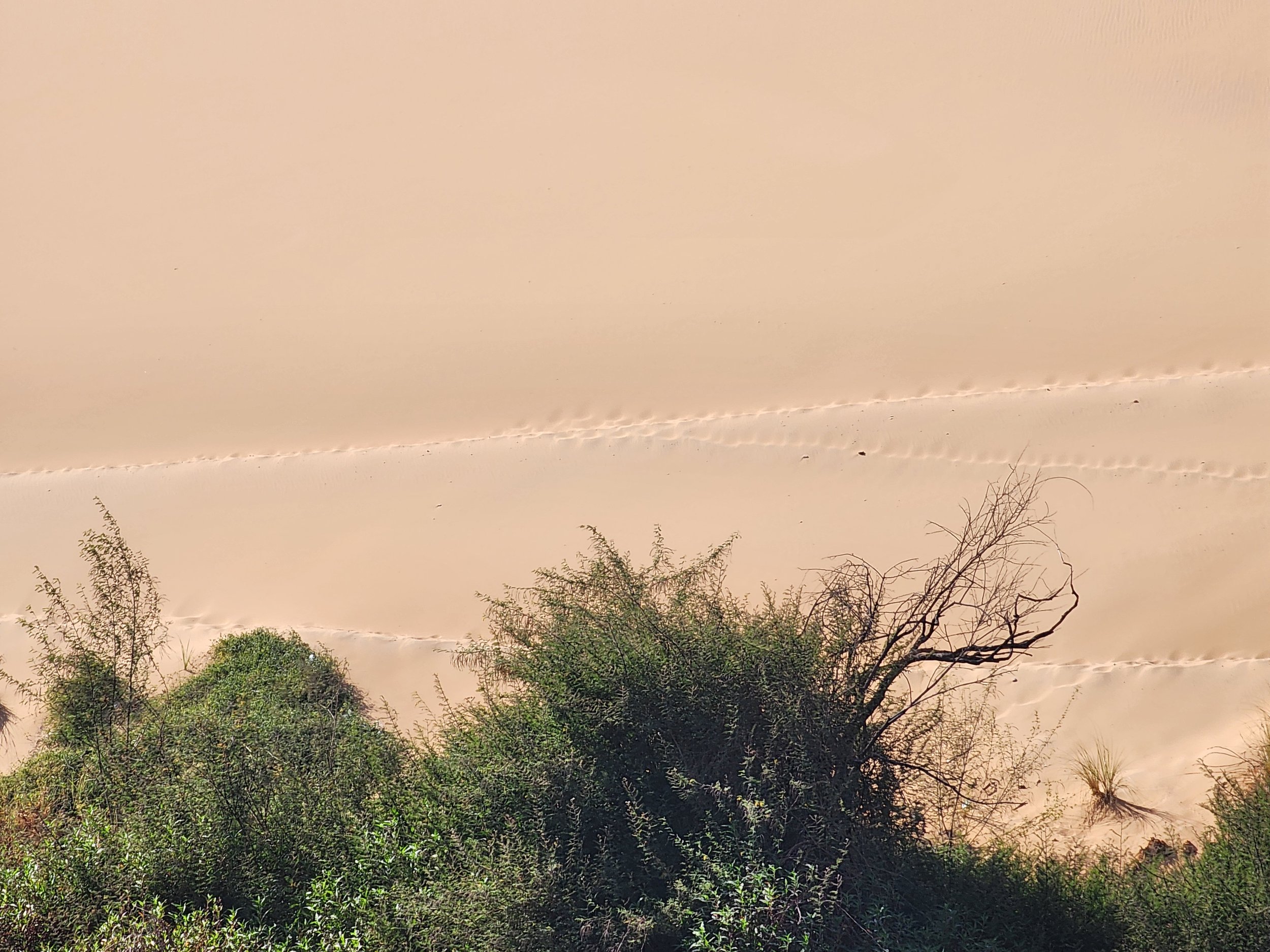 Les dunes du Nil