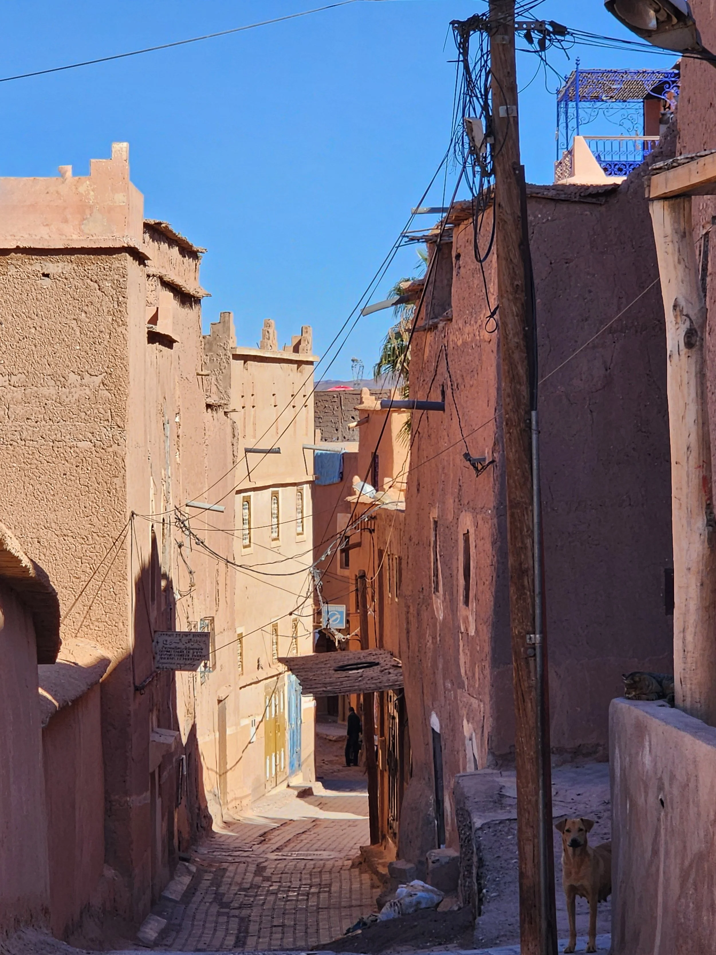 20240401_155022.jpg