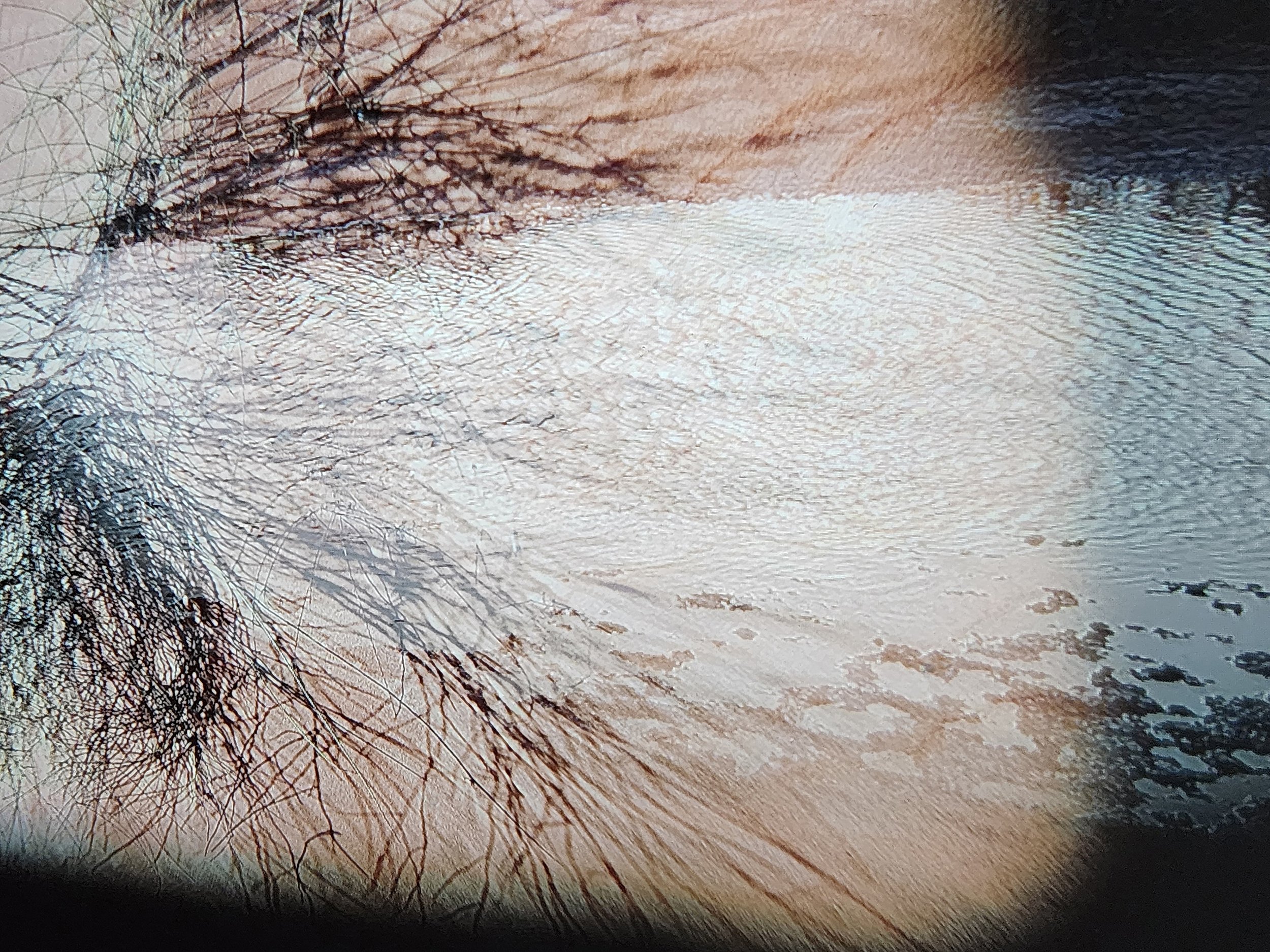 Le_passage_3_fin56X42_300_DPI.jpg
