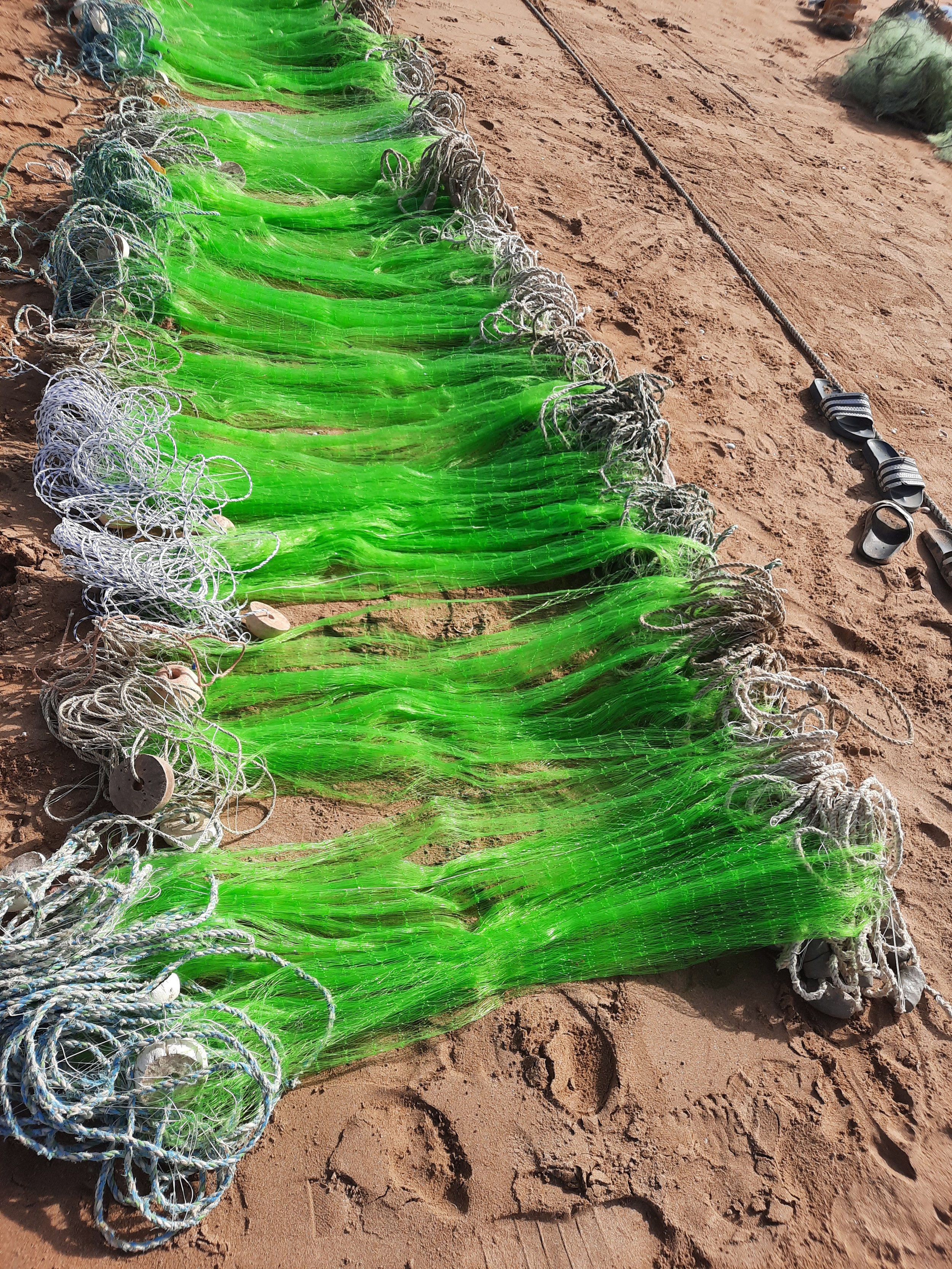 Photo 1 – Filet vert.

Photographie réalisée par un participant lors de l'atelier de médiation artistique, Les Enfants d'ALEFS, Sénégal.