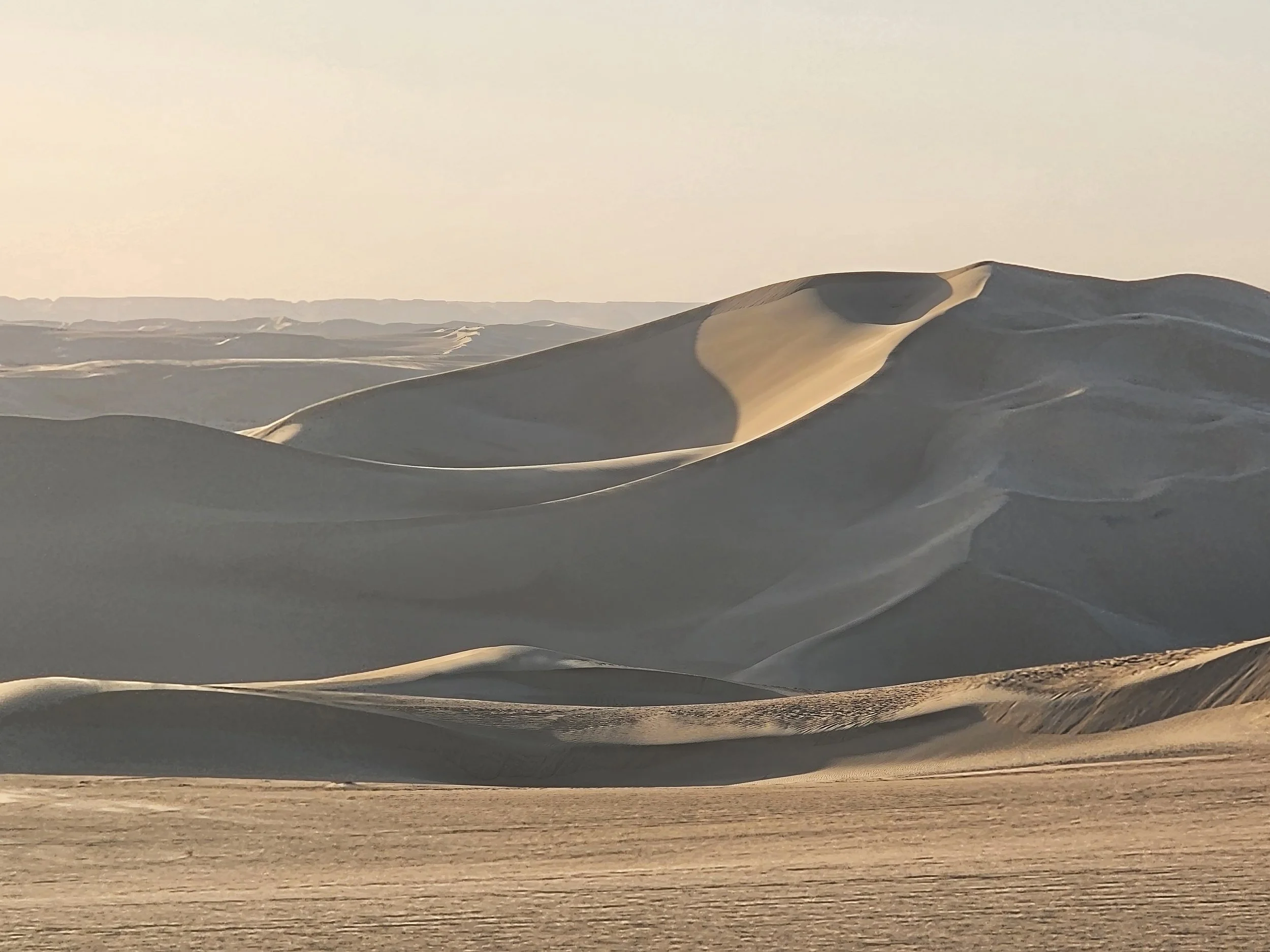 Sahara