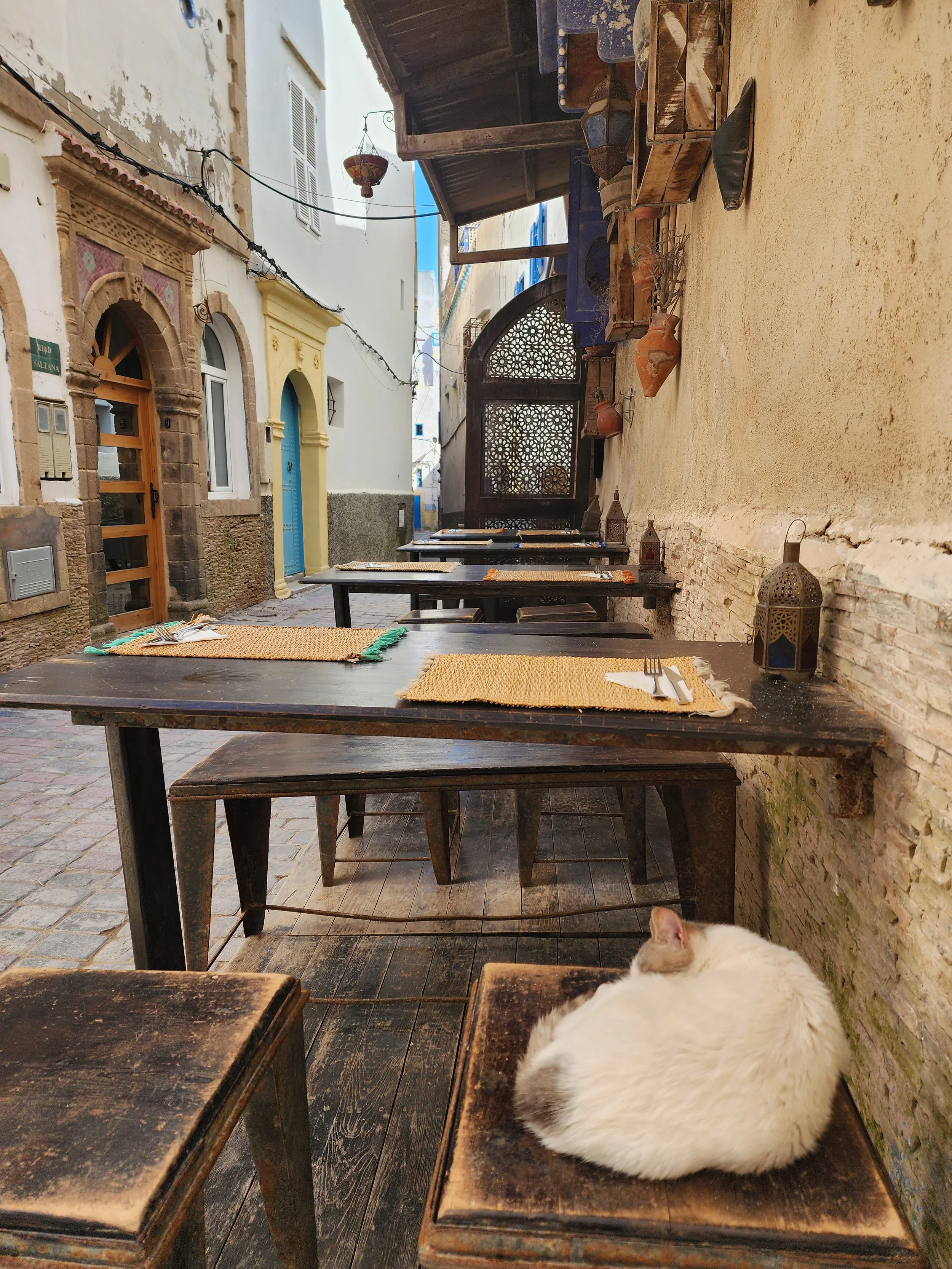 Le chat du café