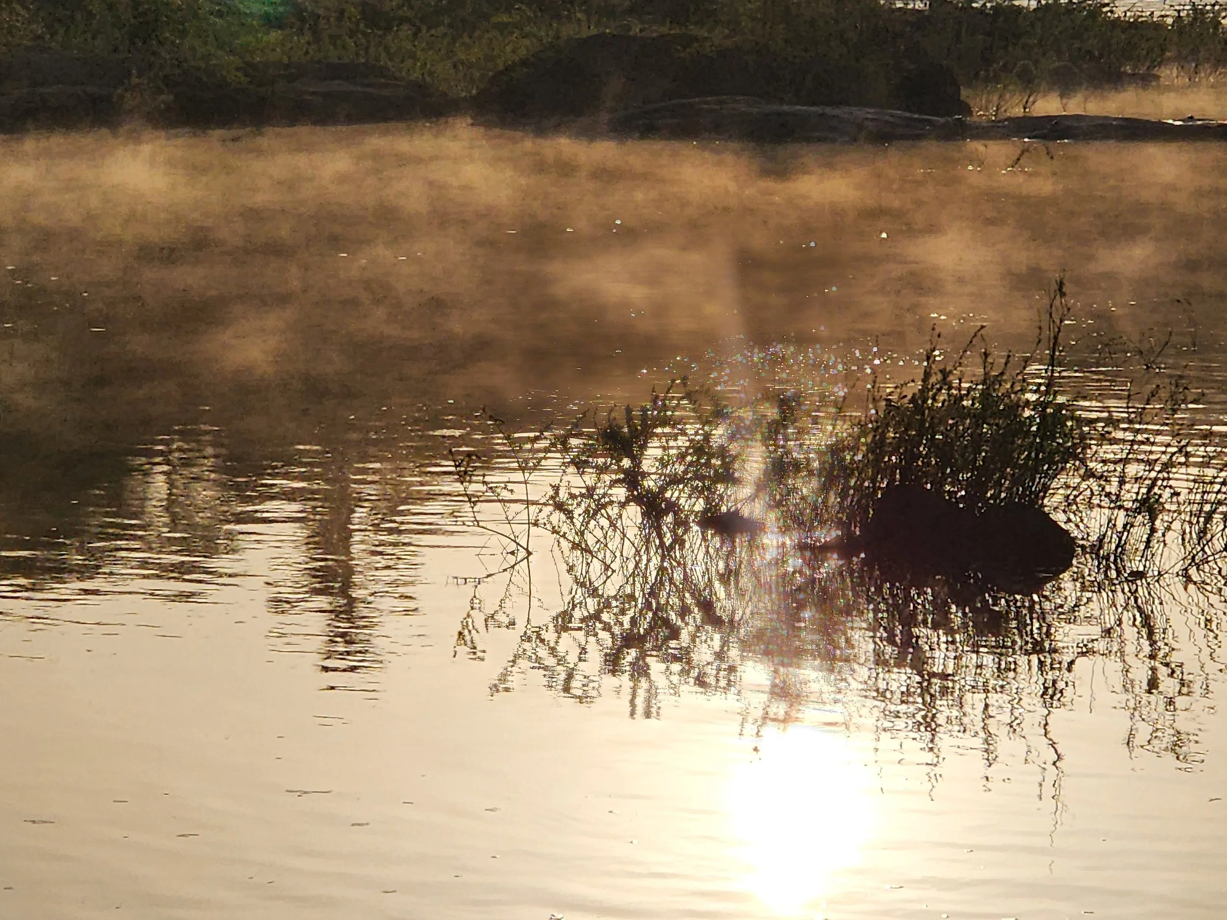 Fleuve Gambie, le couchant