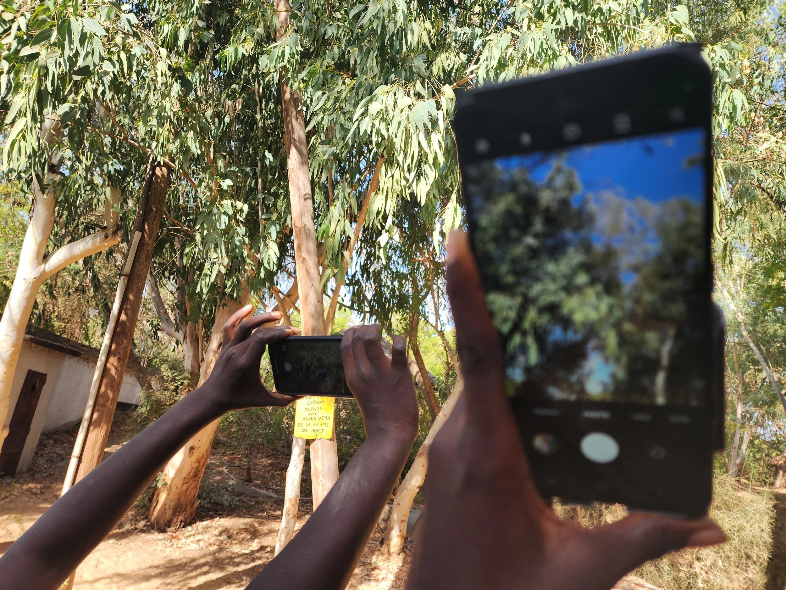 Les Enfants d'ALEFS, Sénégal. 
Prototype d'une démarche de médiation artistique fondée sur l'observation de l'environnement, la photographie mobile et le dialogue autour des images.