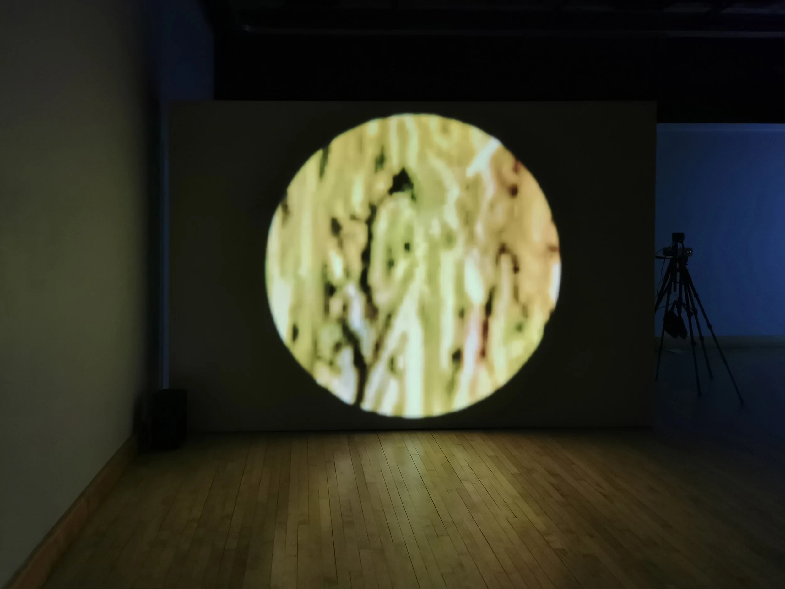 INSTALLATIONS & IMMERSIONS
