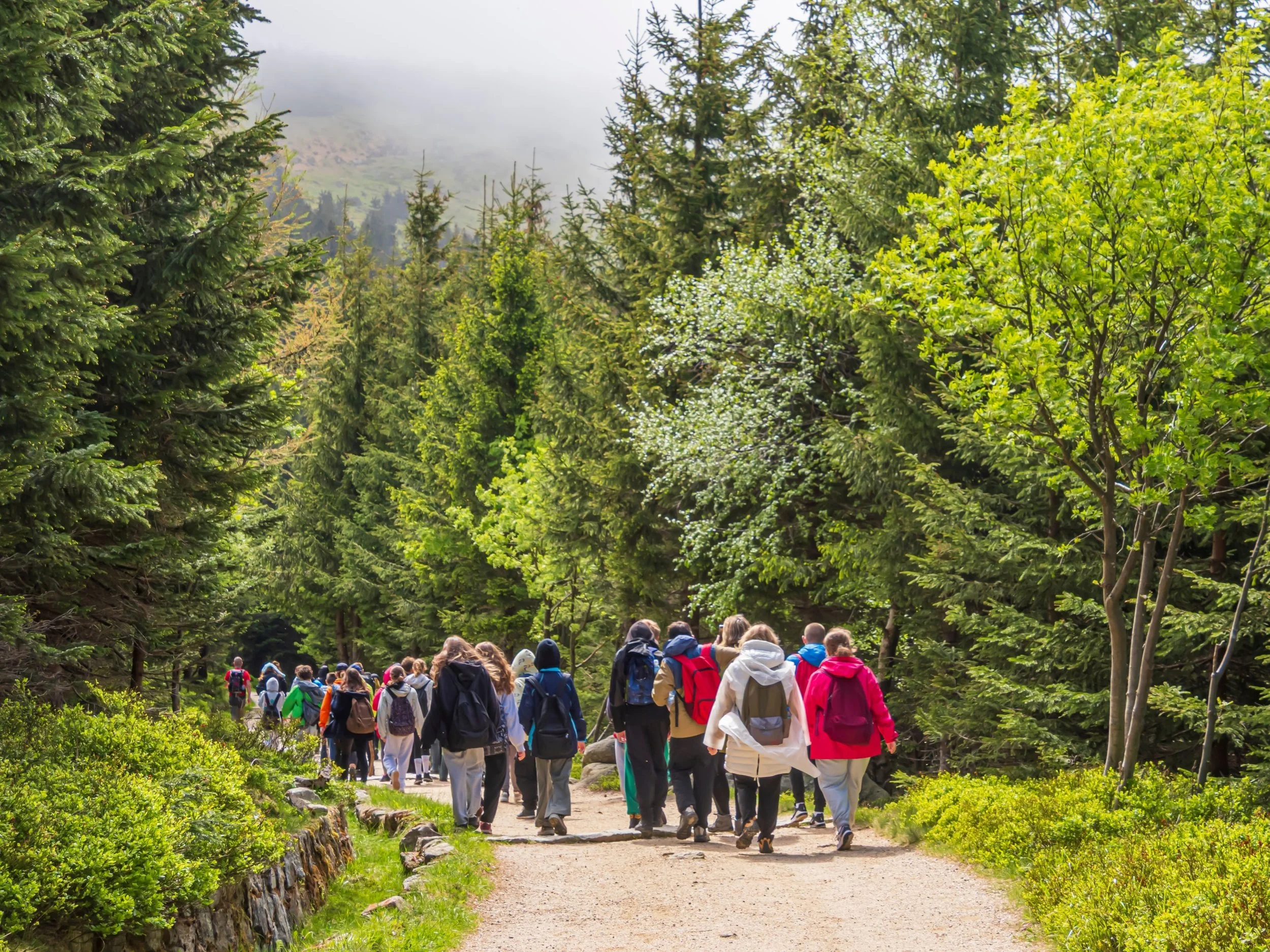 9 Reasons Why Educational Trips Enhance Student Learning