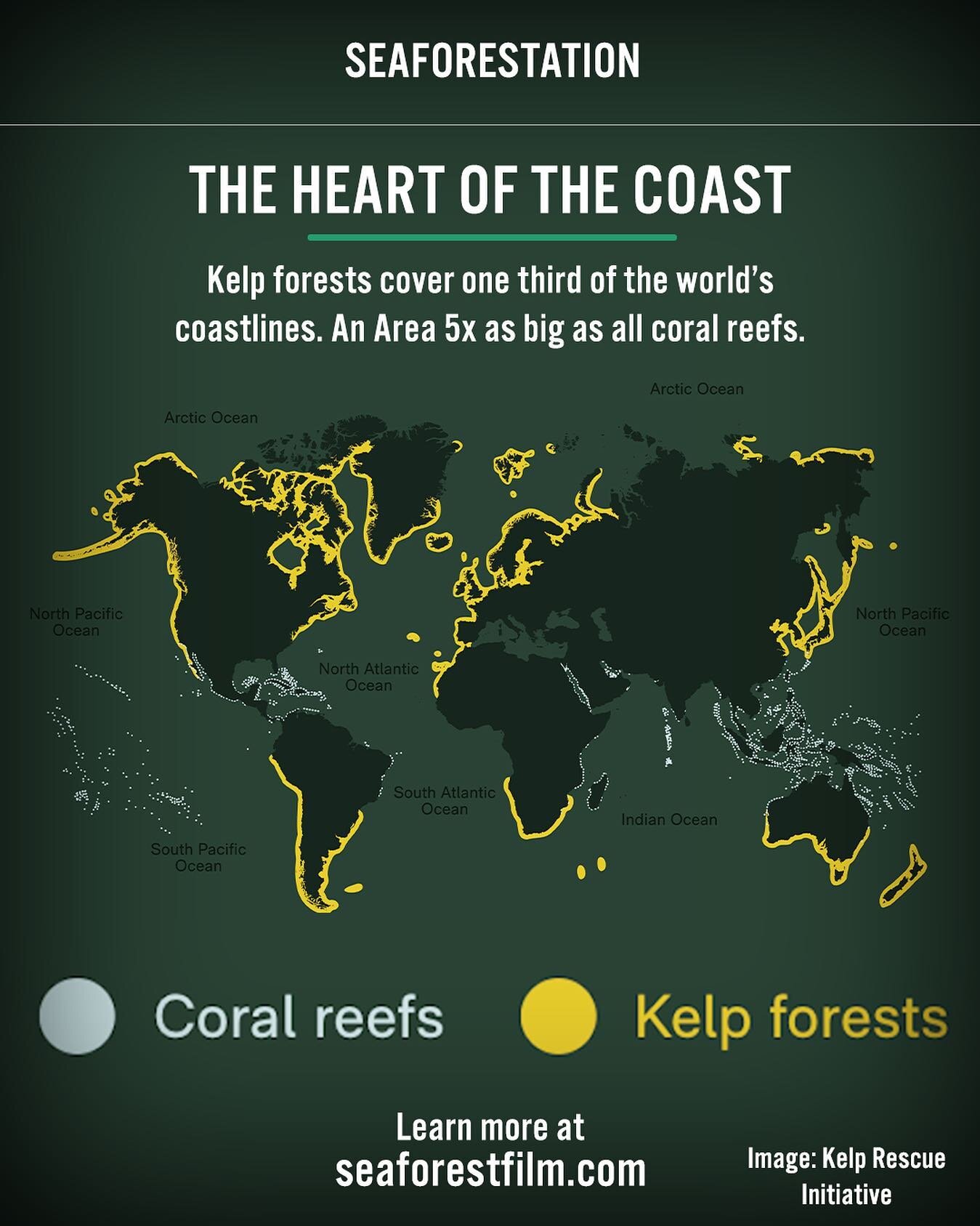 This world map from the Kelp Rescue Initiative shows the scale of kelp forests. Most of the world's population lives on coasts near kelp beds. This shows the true gravity of the situatuon and what is at stake here. If we lose kelp forests basically w
