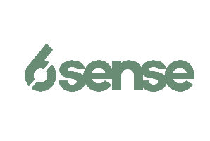 6 sense logo