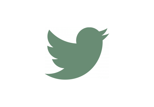 Twitter Logo