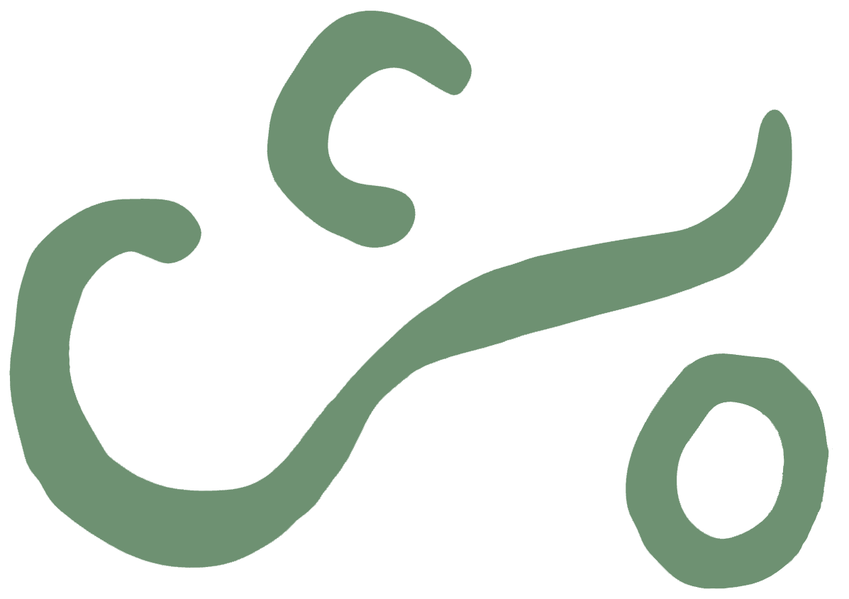 Care-of-Chan-logo.png