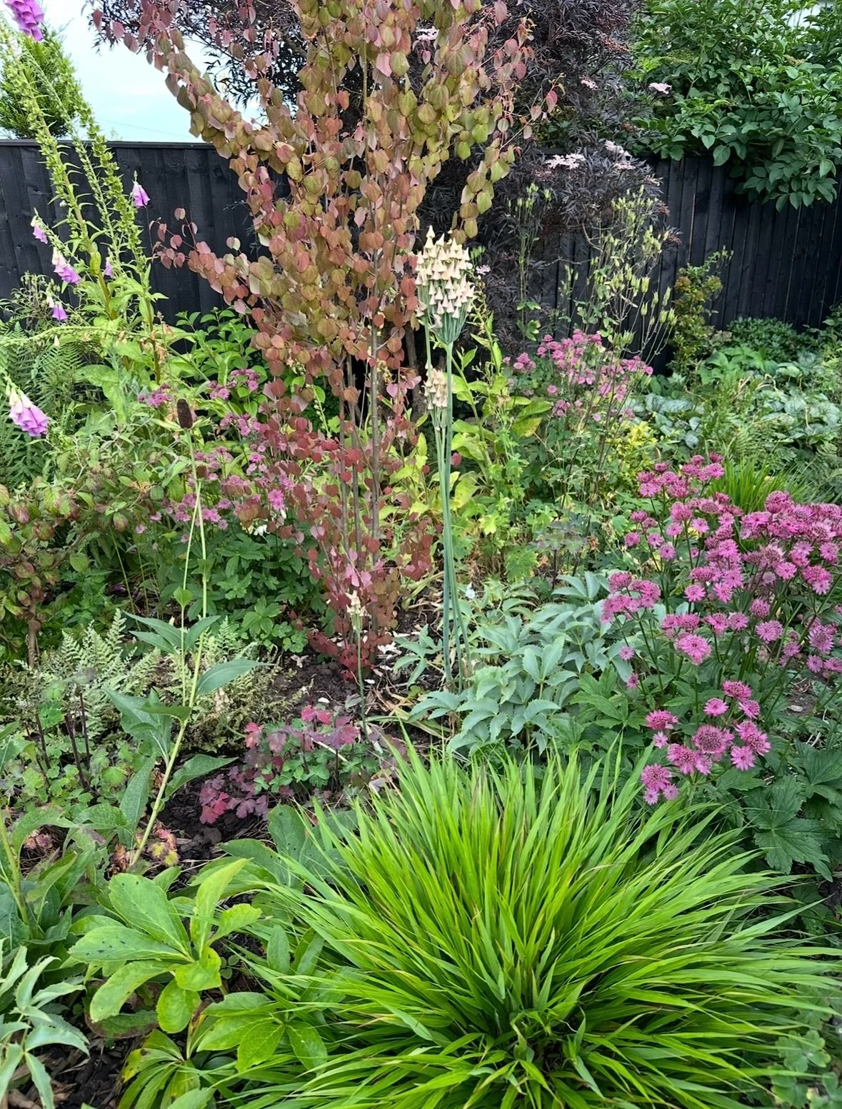 We love a bit of a &lsquo;Before &amp; After&rsquo;, don&rsquo;t we? 

The difference 2 years can make in a garden is pretty incredible. It&rsquo;s easy to think that the summer&rsquo;s gone so there&rsquo;s no point getting started on the garden how