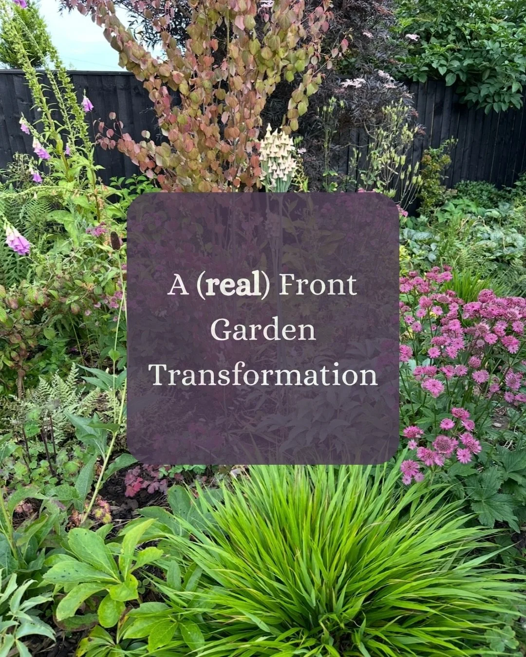 There&rsquo;s a lot of talk about garden designs and AI at the moment (thanks to those Chelsea gardens) and it&rsquo;s getting harder and harder to know if the videos you&rsquo;re watching are real. Can we believe our eyes anymore?! 

Real gardens ar