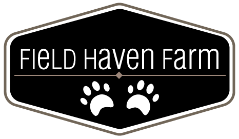 Field Haven Farm