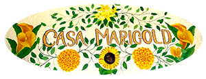 Casa Marigold Puerto Vallarta