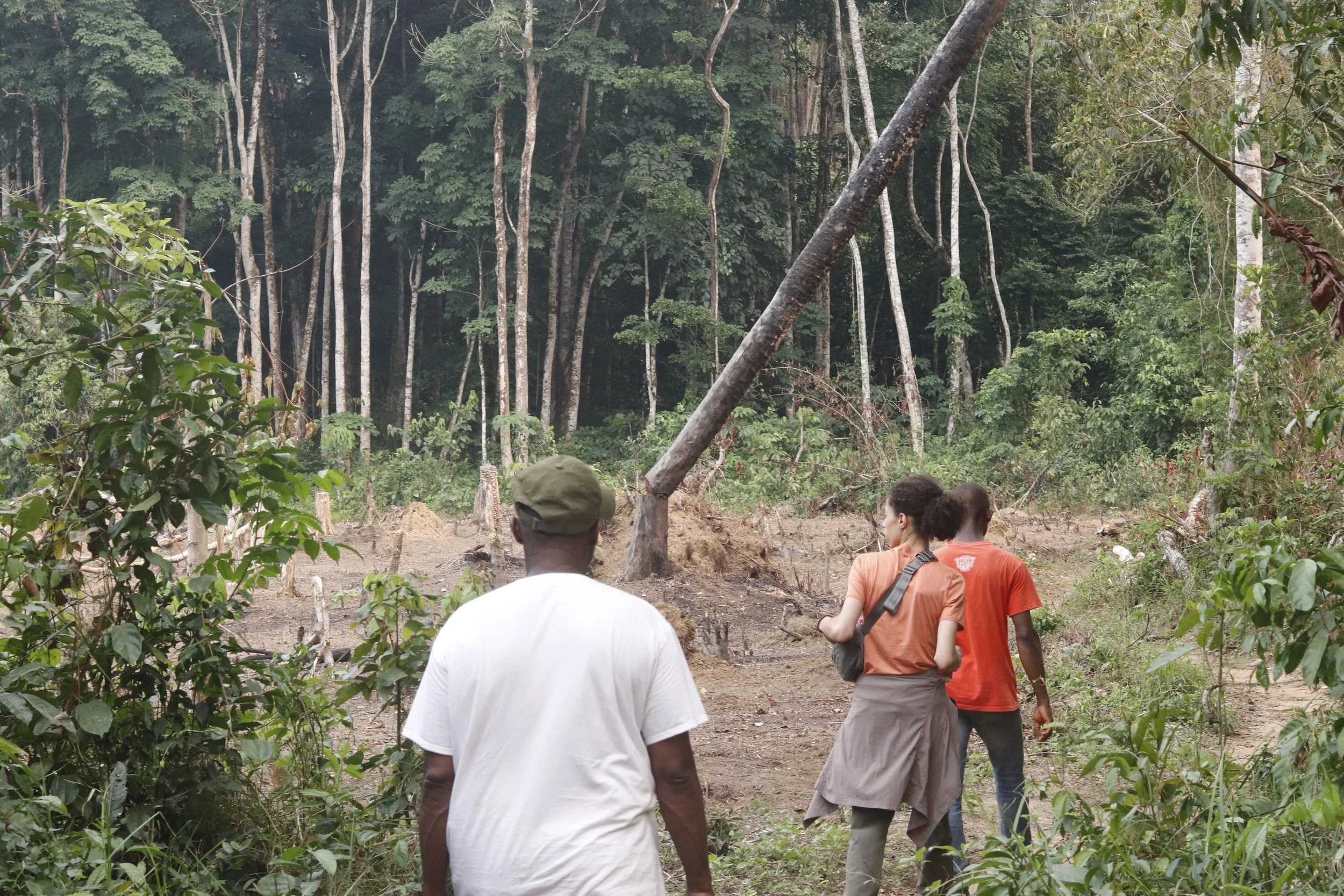 Building a Sustainable Community