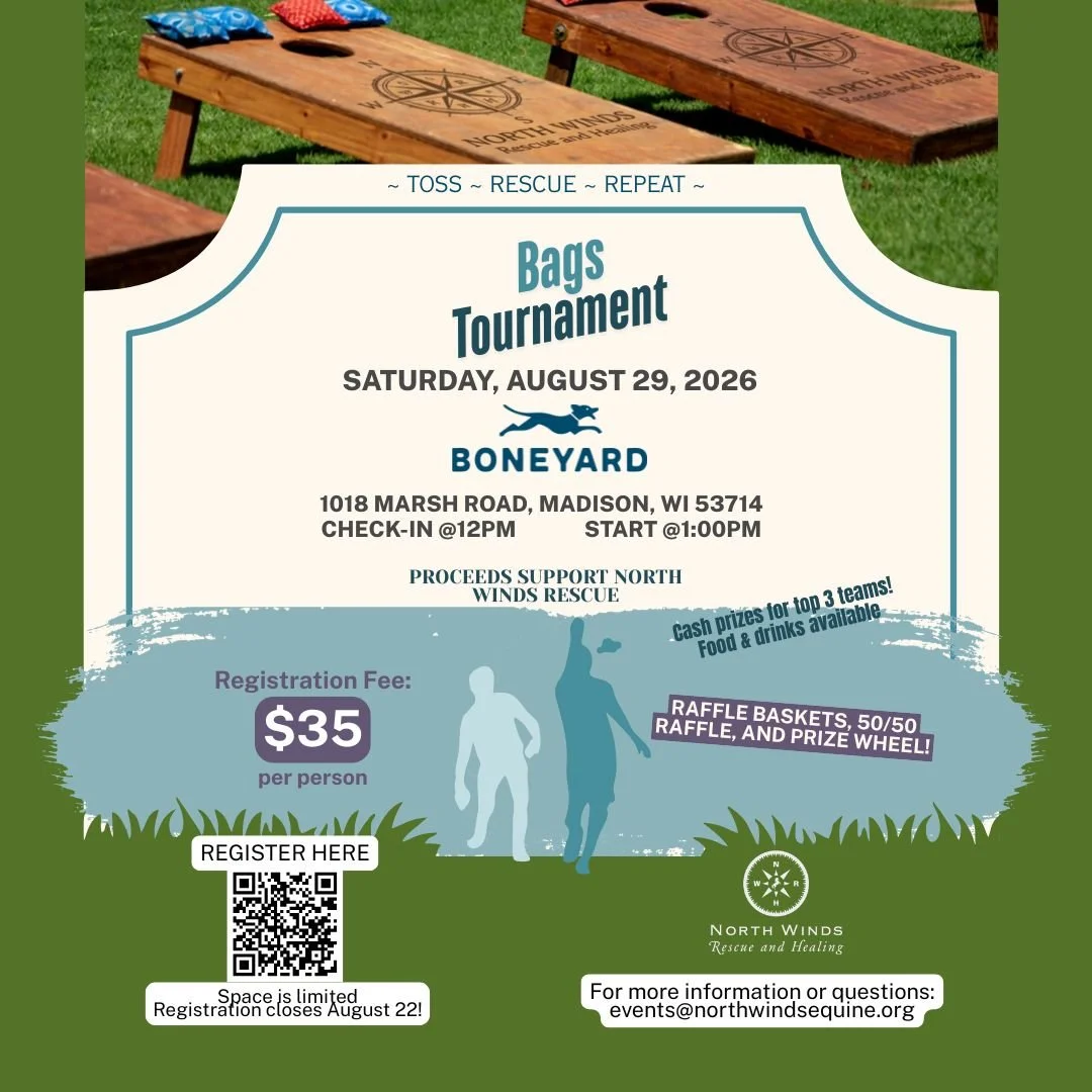 Bags Tournament