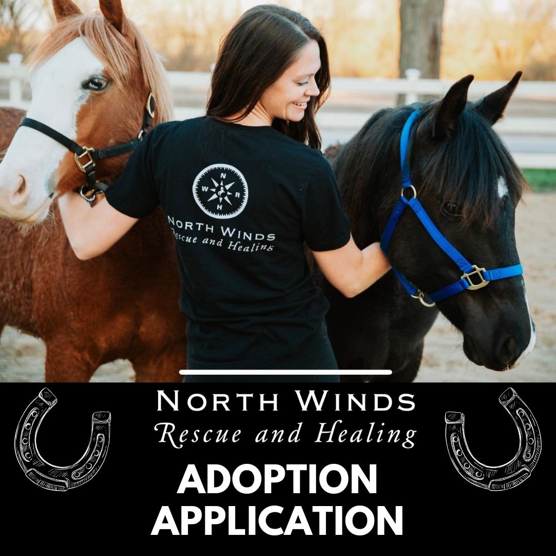 ADOPTION APPLICATION.jpg