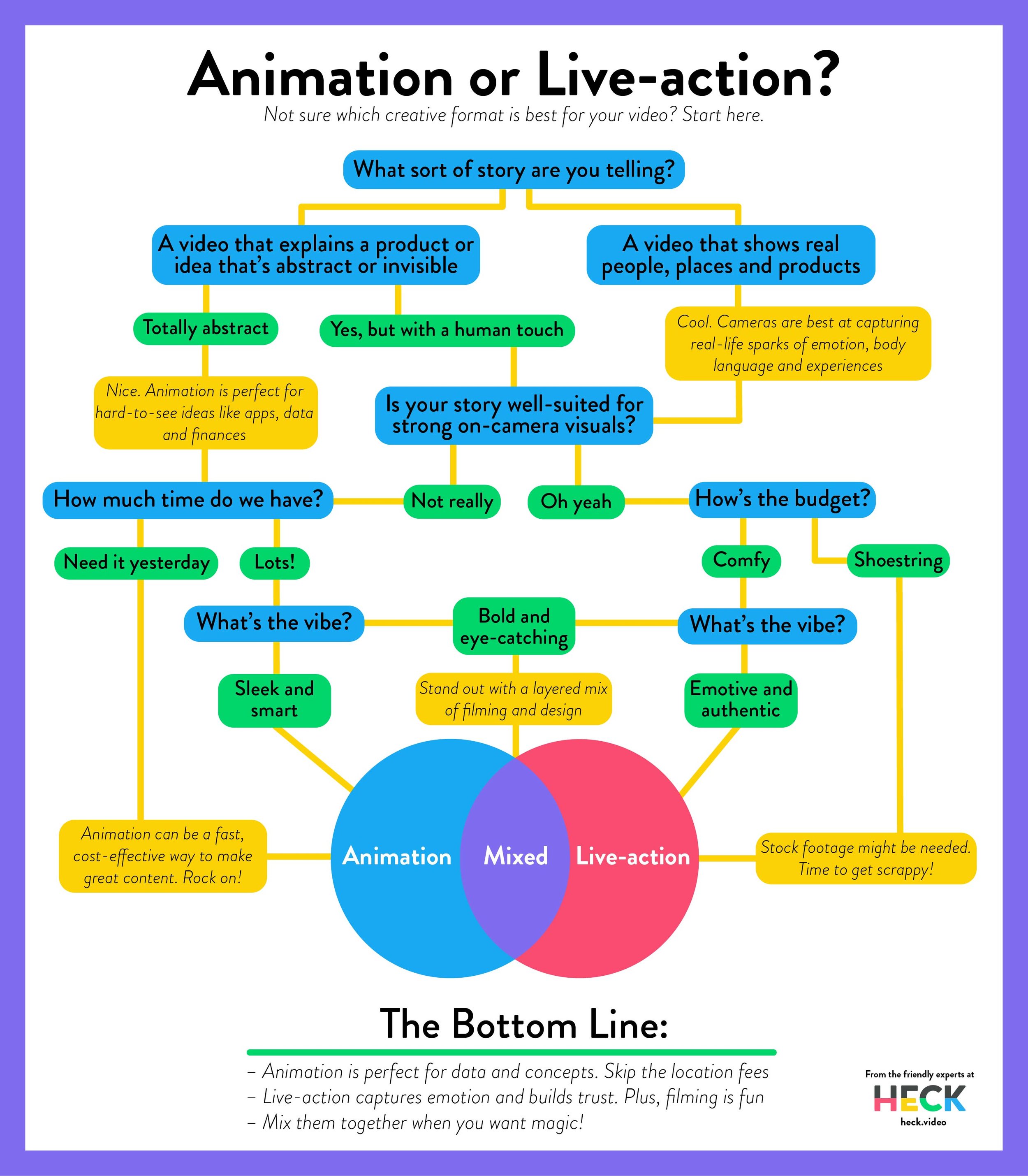 Choosing Between Animation & Live-Action Video