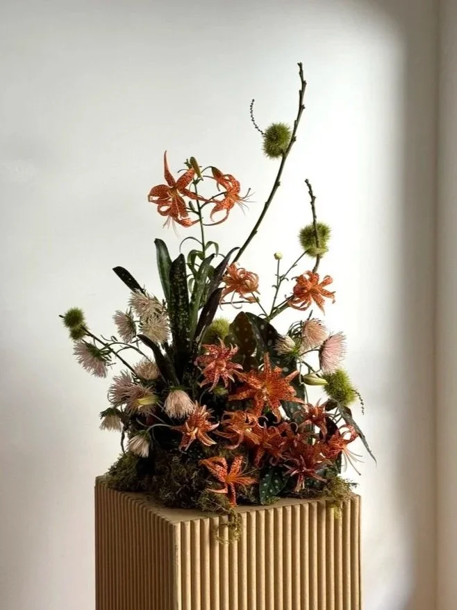 tiger-lily-frond.jpg