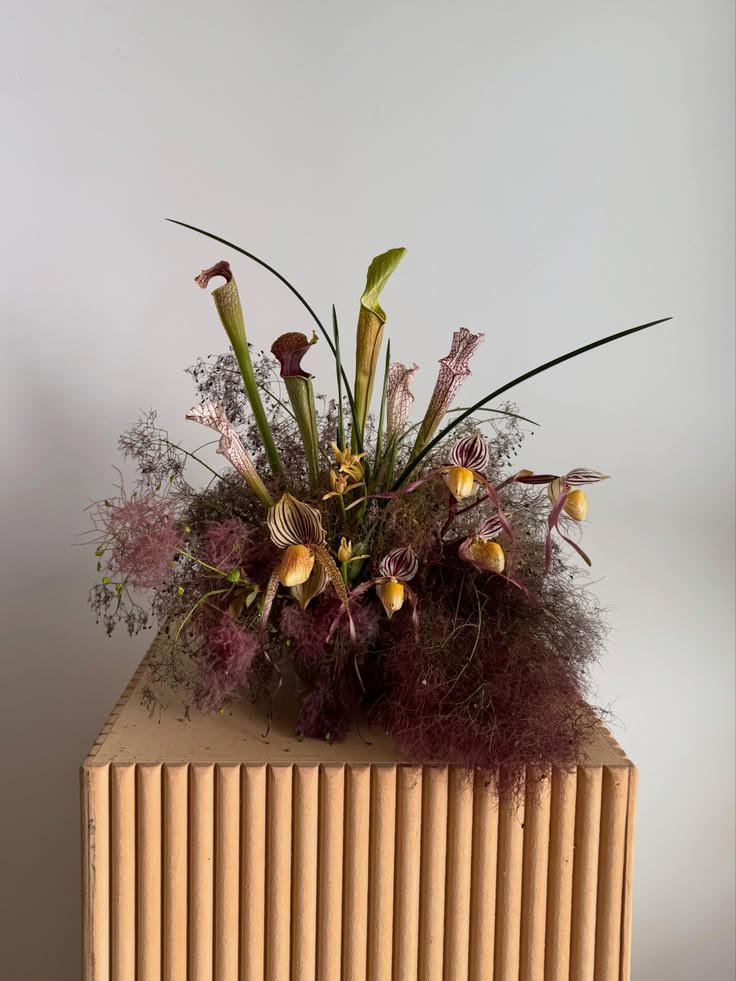 frond-smokebush-orchids-pitchers.jpg