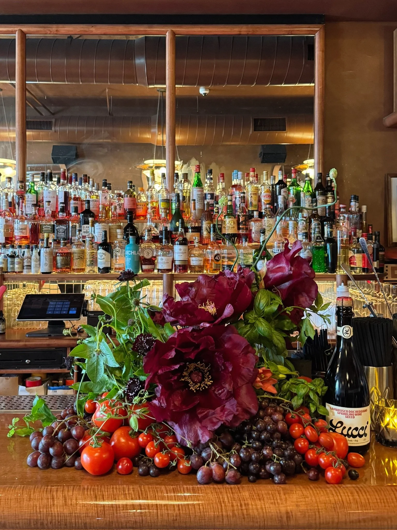 frondxlucci-small-bar.jpeg