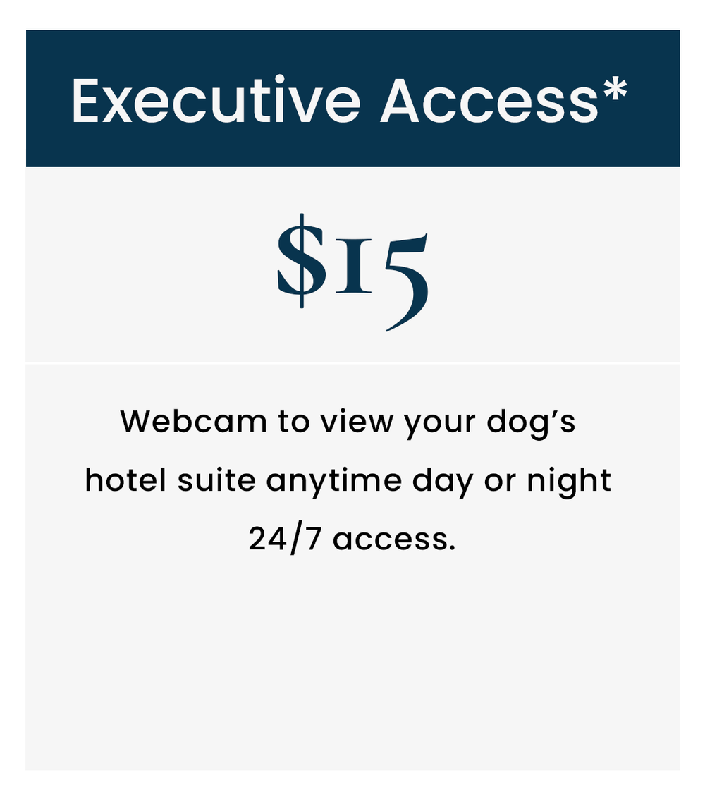 Luxury Dog Boarding in Prescott Valley — Wags Pet Resort Prescott Valley