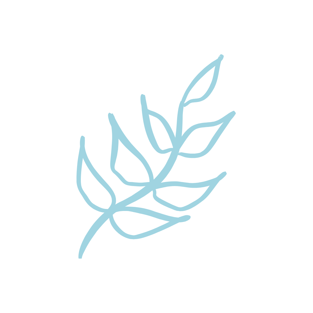 Light blue line drawing of a leafed branch on a black background.