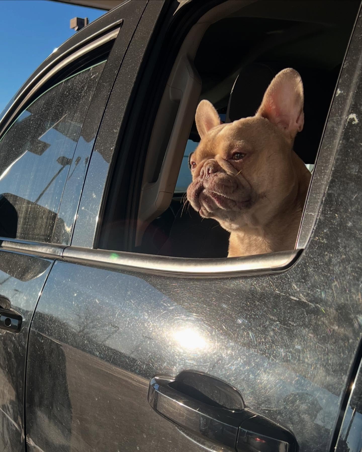 Enjoying the spring weather ☀️