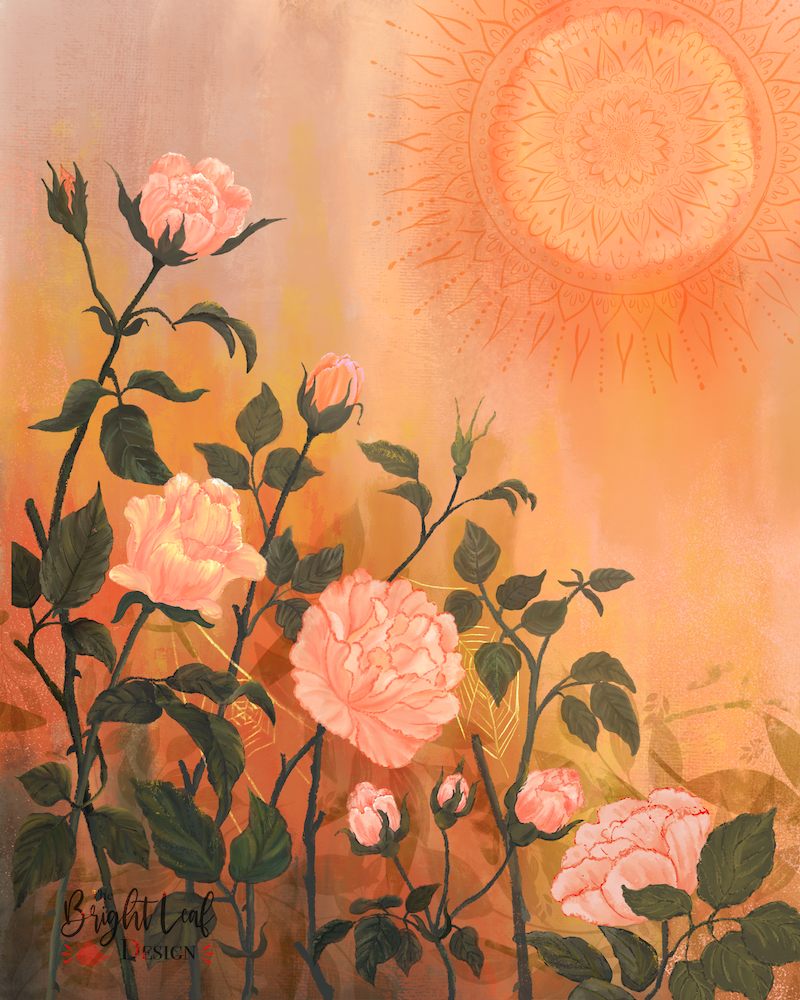Toward the Sun — botanical illustration of pink garden roses with mandala sun in warm amber and peach tones by Jean Pham The Bright Leaf Design