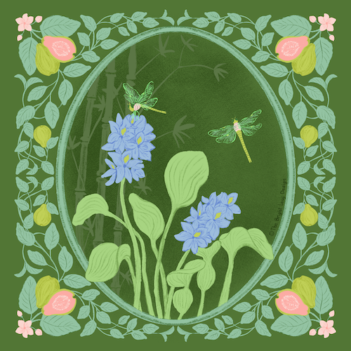 Hoa Lục Bình - Water Hyacinth