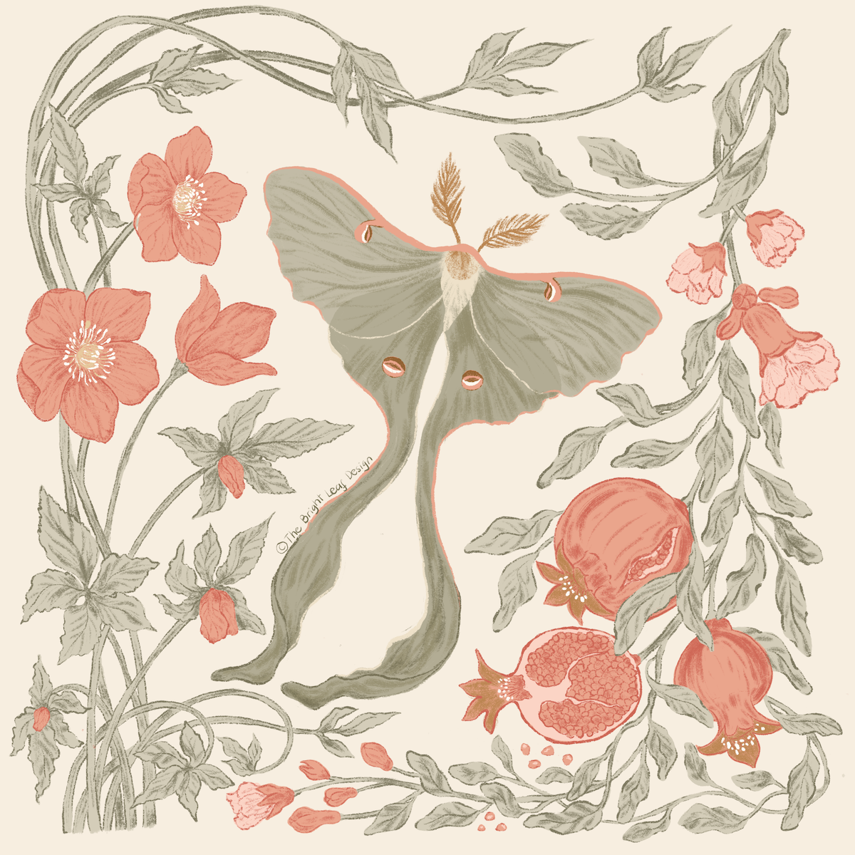 January Art Nouveau botanical illustration — luna moth with hellebore flowers and pomegranates in coral and sage by Jean Pham The Bright Leaf Design